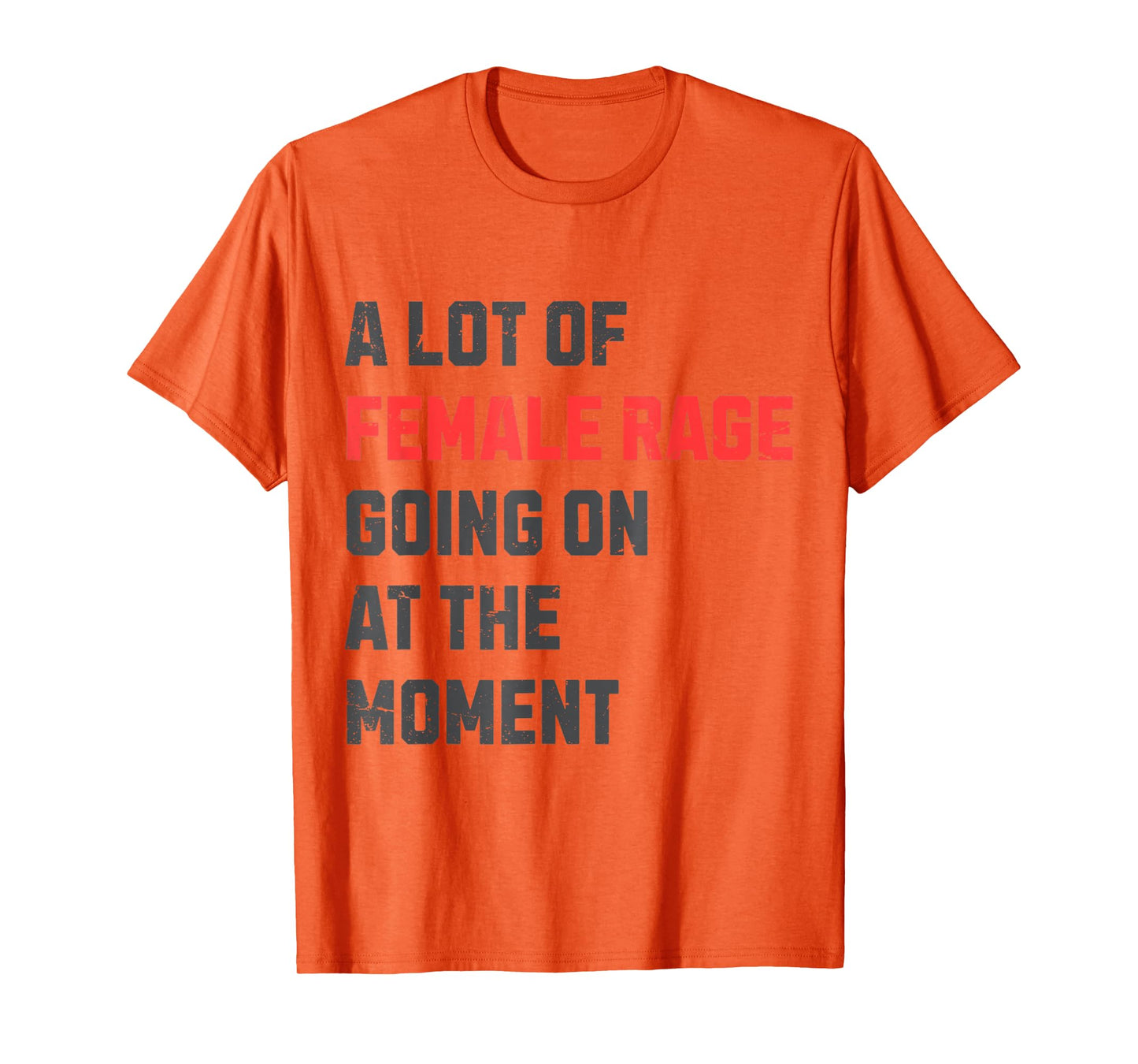 Vintage A Lot Of Female Rage Retro Going On At The Moment T-Shirt