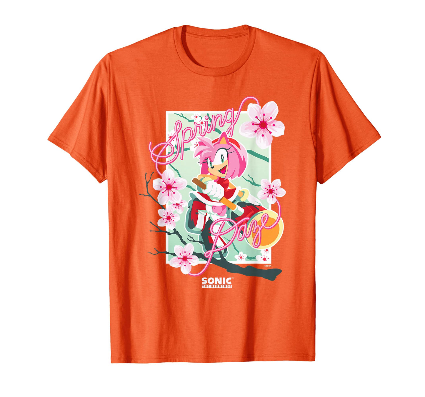 Sonic The Hedgehog Spring Days Cute Floral Amy Big Poster T-Shirt