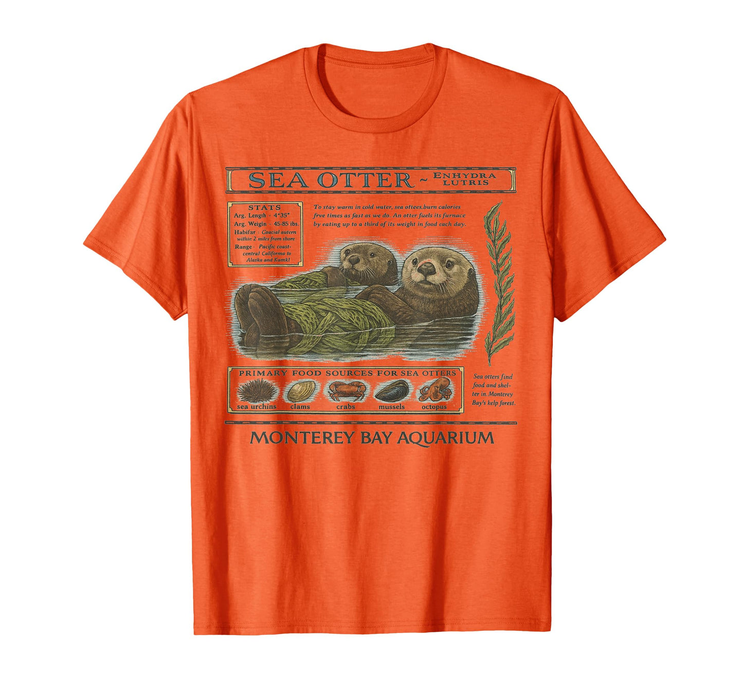 Vintage Sea Otter Monterey California 90's Aquarium Lover T-Shirt