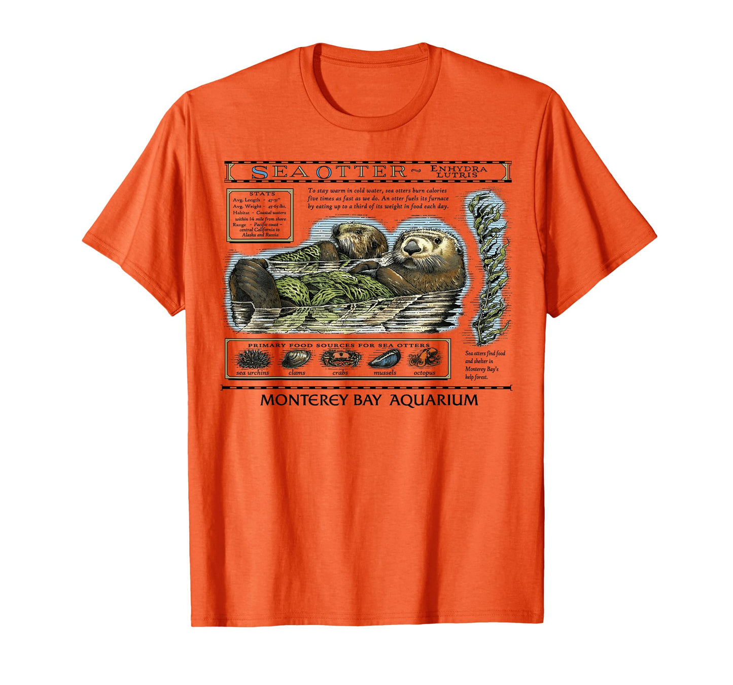 Vintage Sea Otters T-Shirt