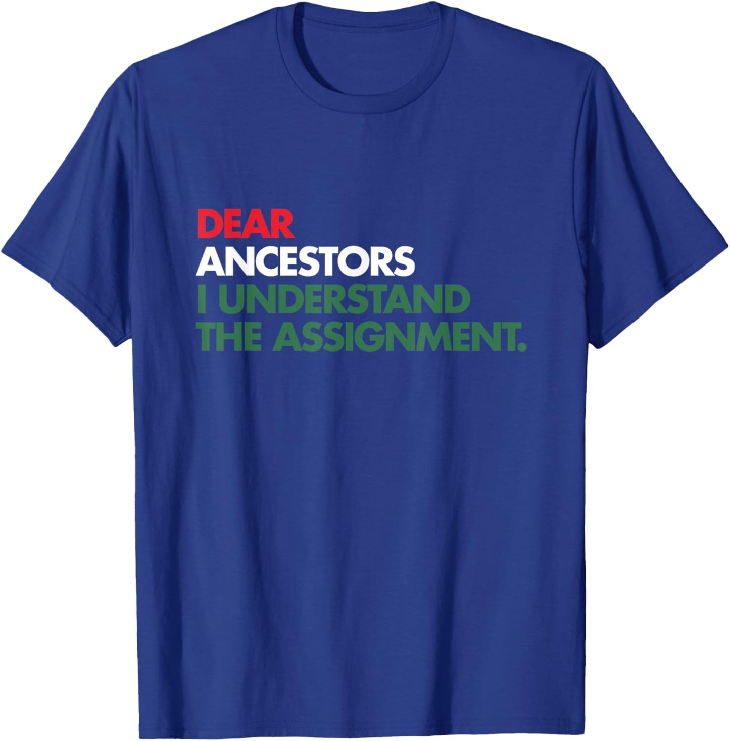 Dear Ancestors I Understand The Assignment T-Shirt - T-Shirt | Royal