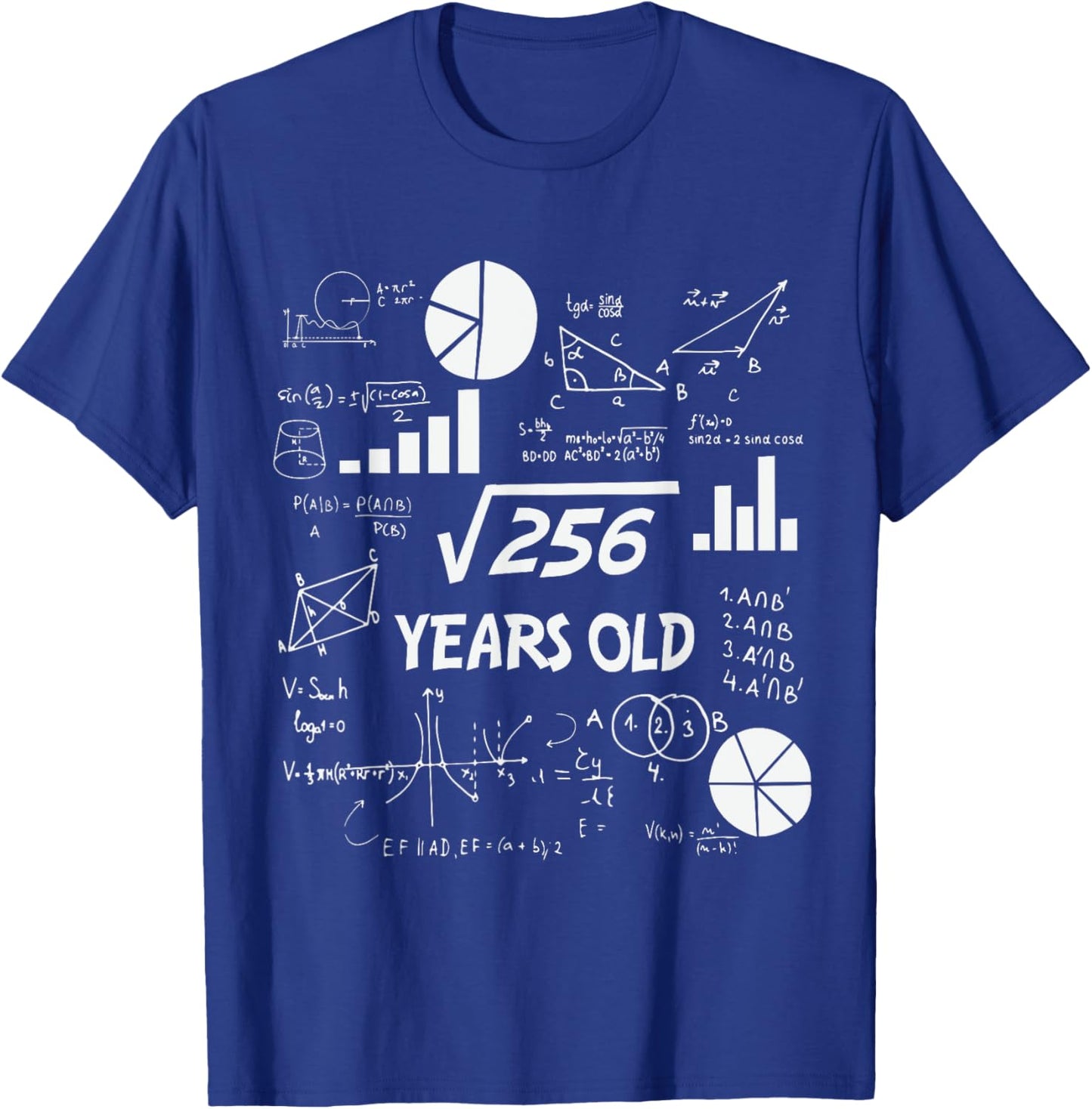 16th Birthday Square Root of 256 Math 16 Years Old Birthday T-Shirt - T-Shirt | Royal