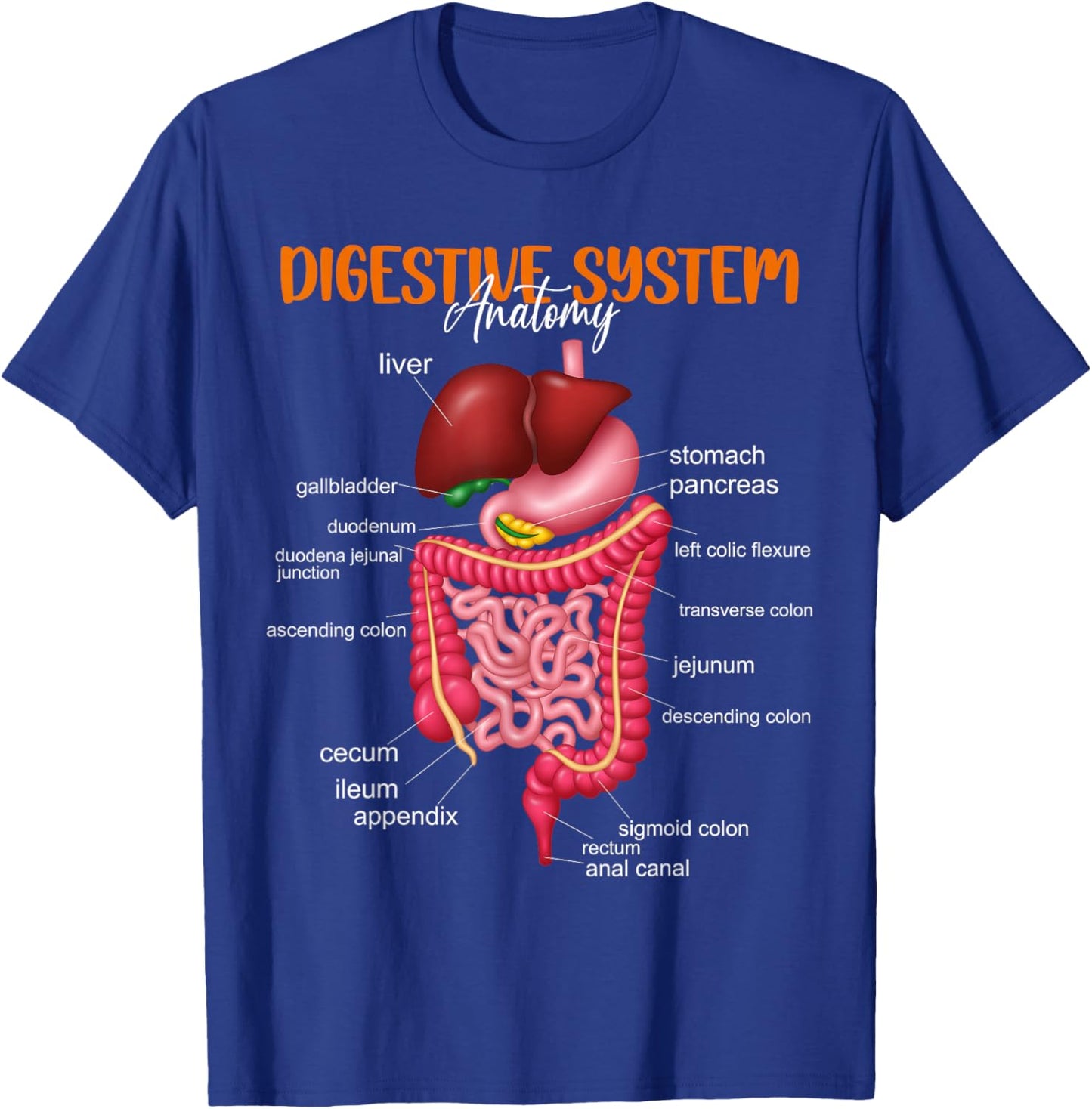 Funny Digestive System Anatomy Anatomical Biology Teacher T-Shirt - T-Shirt | Royal