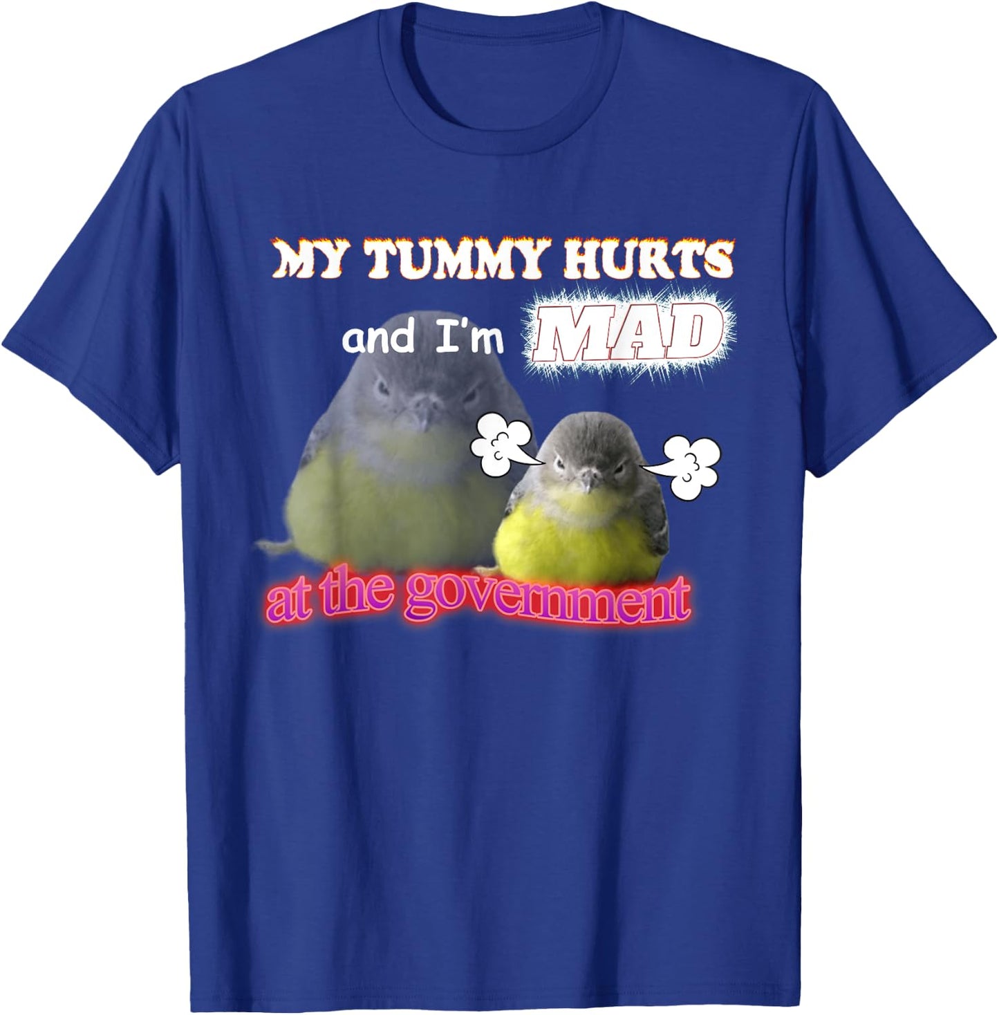 My Tummy Hurts And I'm Mad At The Government Birb Meme T-Shirt - T-Shirt | Royal
