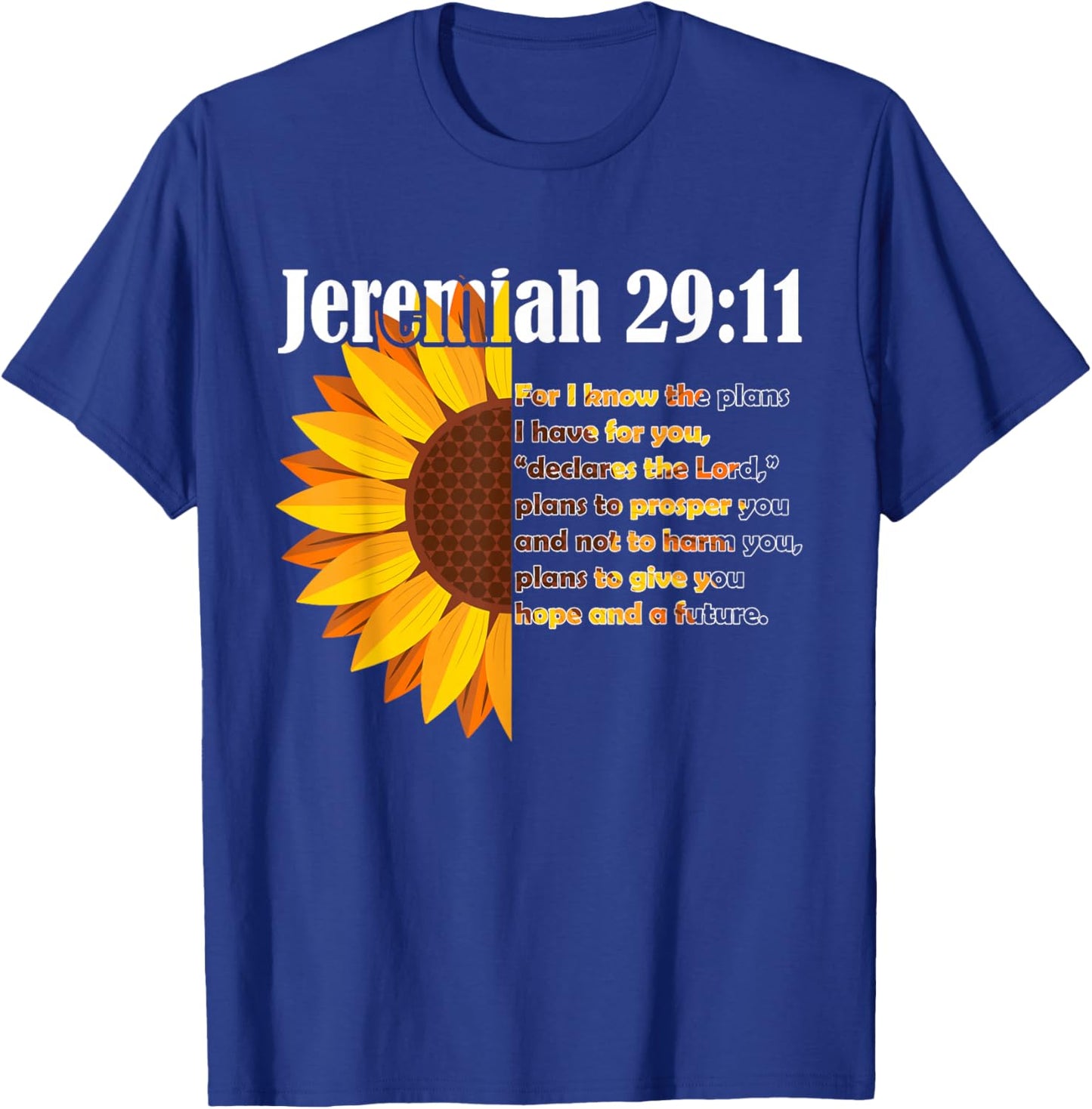 Jeremiah 29:11 Bible Christian Christian T-Shirt - T-Shirt | Royal