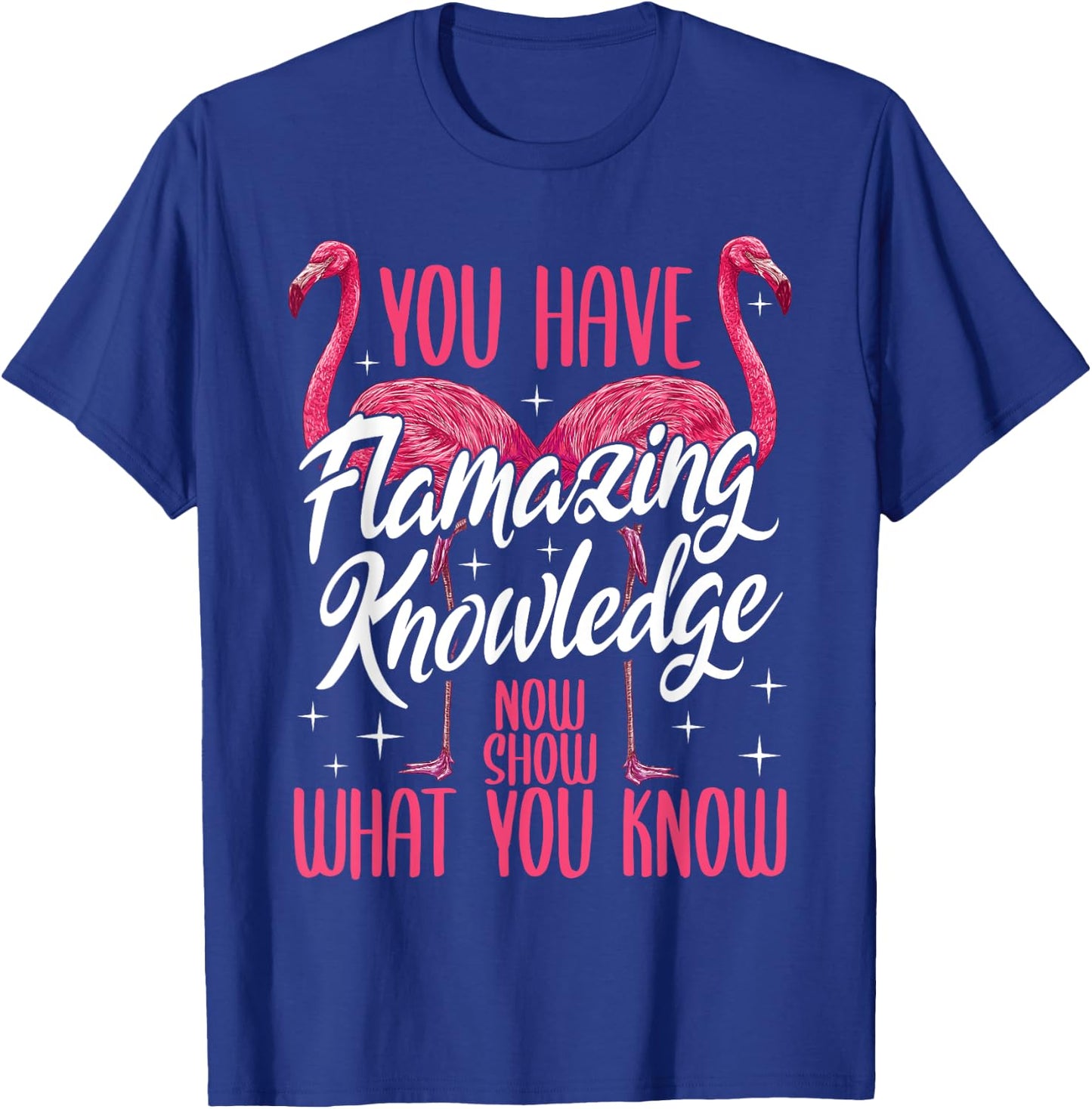 Test Day Teacher You Have Flamazing Knowledge Flamingo T-Shirt - T-Shirt | Royal