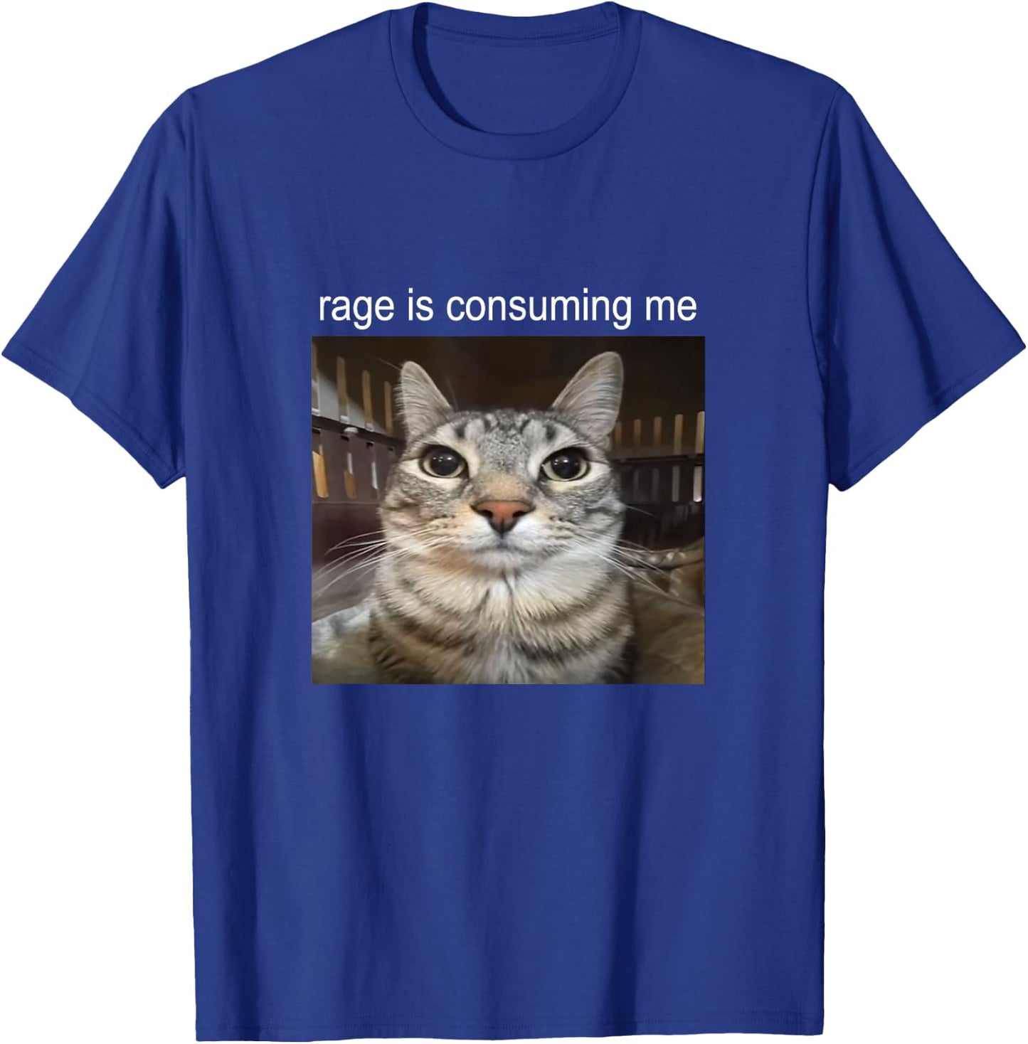 Rage is Consuming Me Silly Staring Cat Meme T-Shirt - T-Shirt | Royal