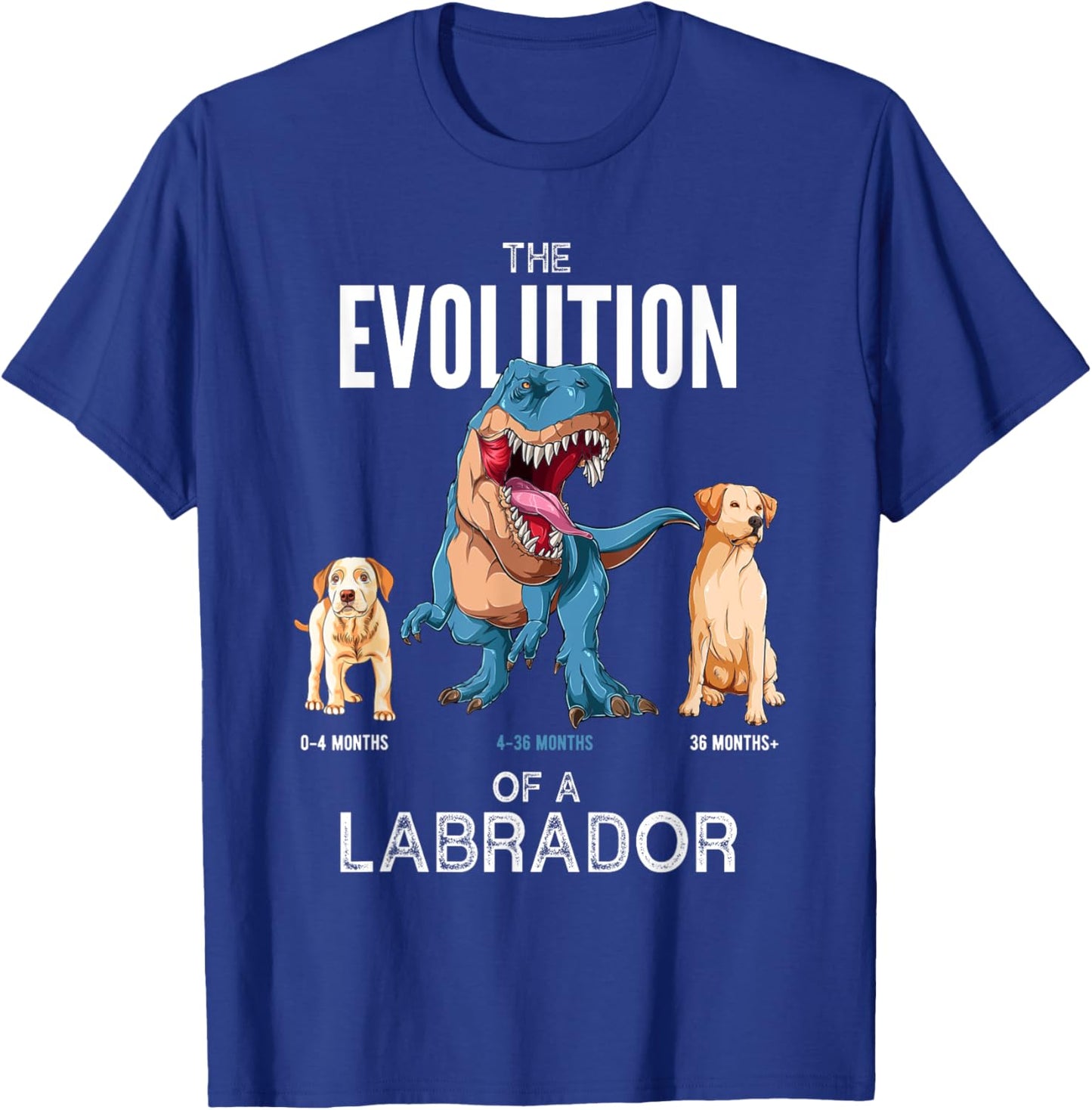 The Evolution of a Labrador or Evolution of dogs T-Shirt - T-Shirt | Royal