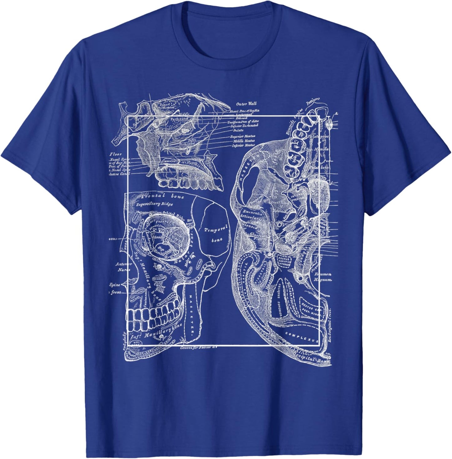 Neuroscience Gifts Anatomy Of The Human Cranial Bones T-Shirt - T-Shirt | Royal