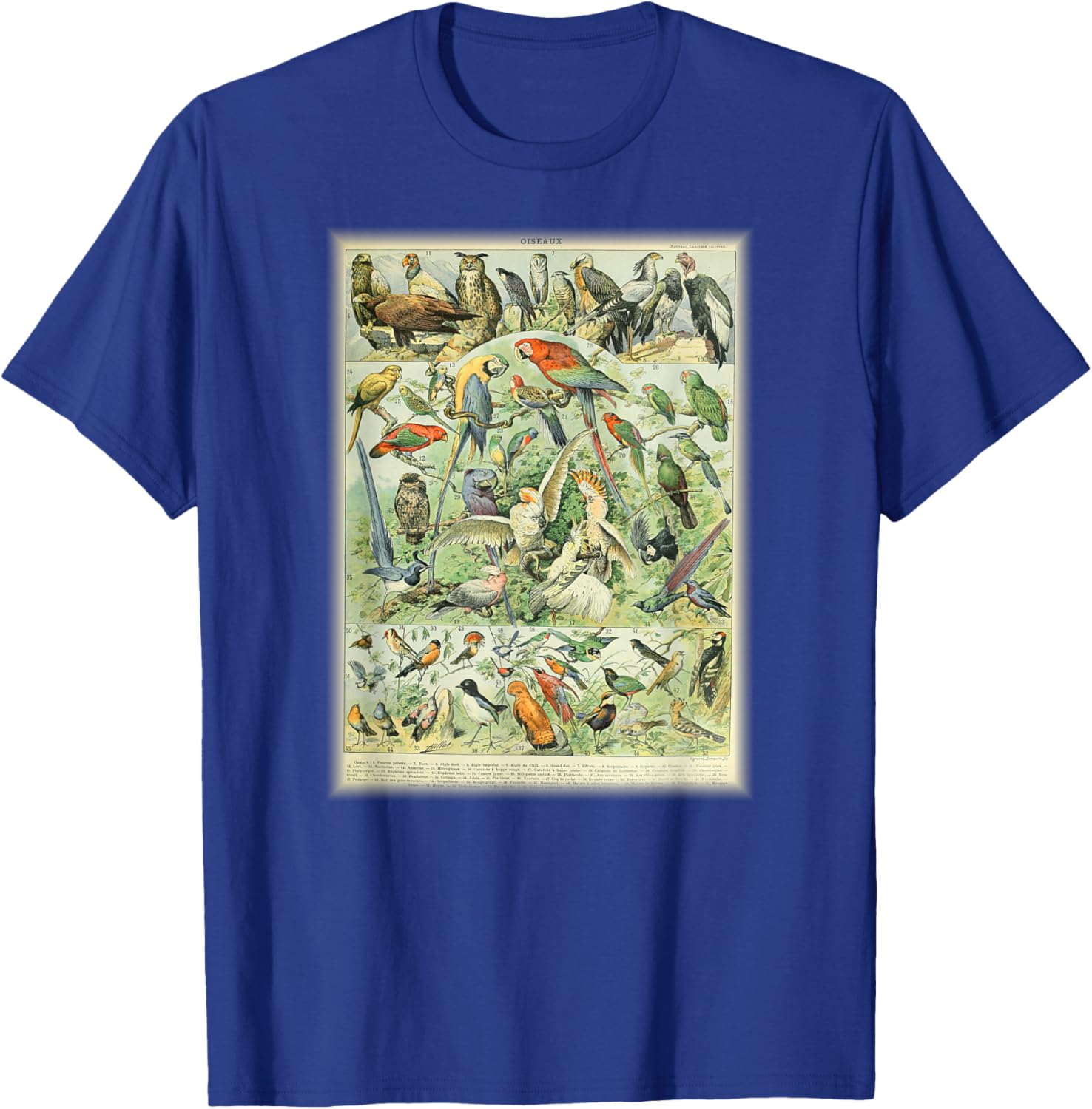 Scientific Bird Illustration Lover Biologist Birding Gift T-Shirt - T-Shirt | Royal