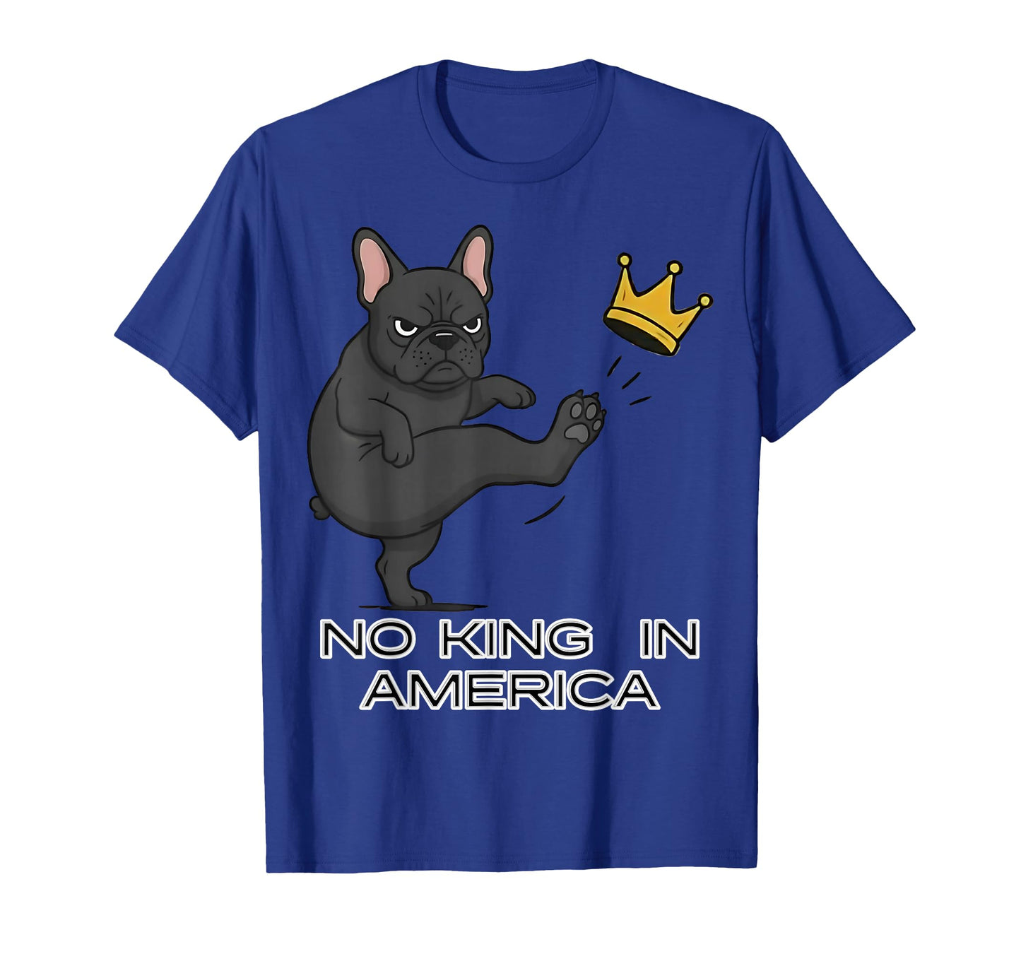No Kings Protest Sign, We The People, No Kings in America T-Shirt