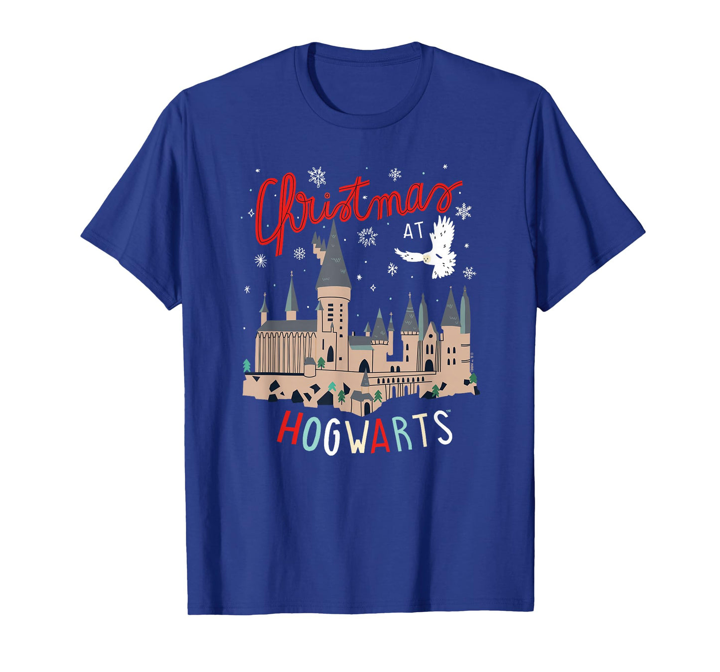 Harry Potter Unisex-Adults Kids Christmas Hogwarts T-Shirt, Black, Small