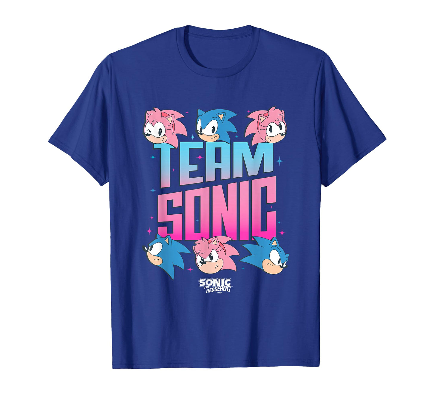 Sonic The Hedgehog Team Sonic Amy Rose Retro Logo T-Shirt