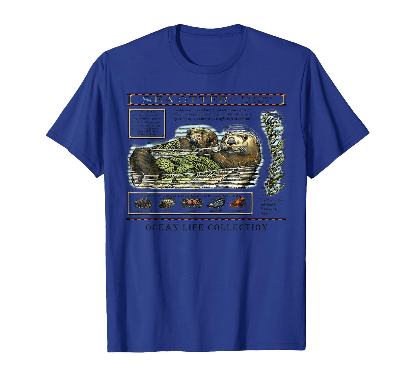 Sea Otter Monterey California 90's Aquarium Lover T-Shirt