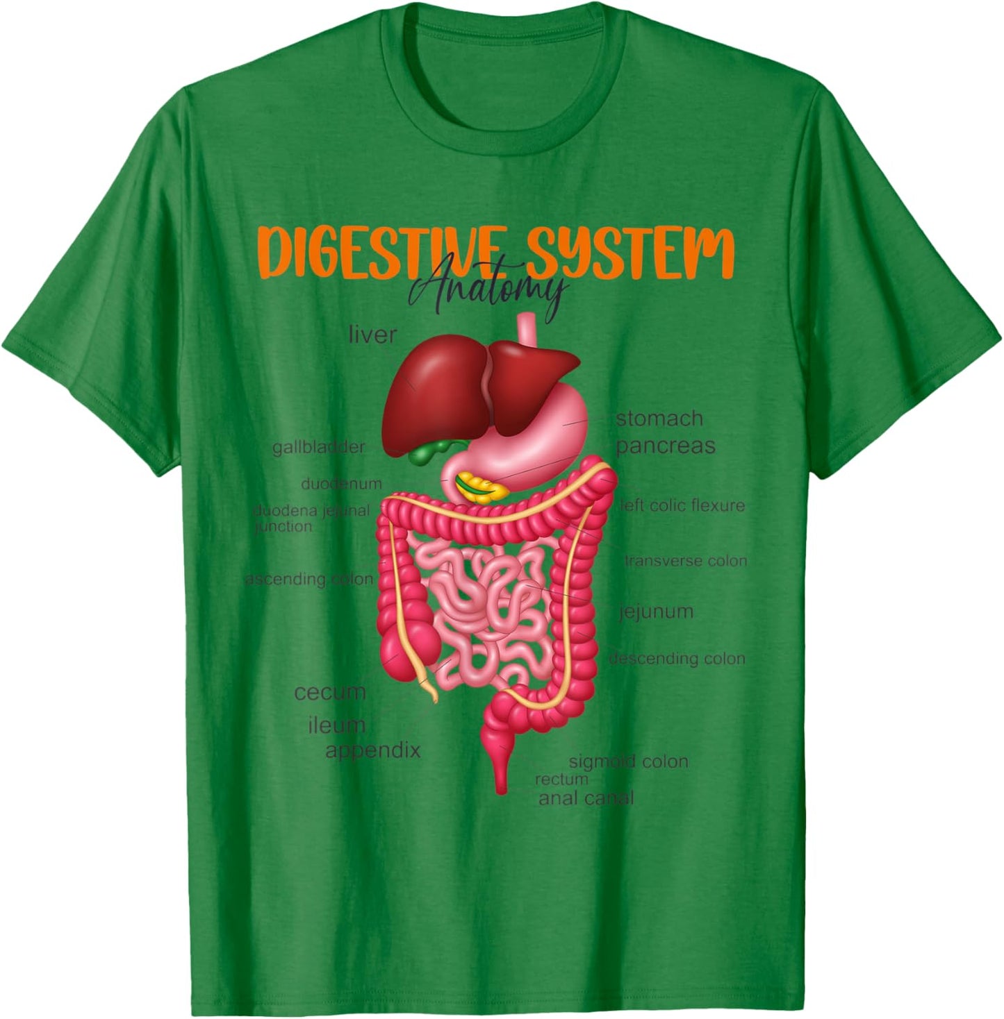 Funny Digestive System Anatomy Anatomical Biology Teacher Women T-Shirt - T-Shirt | Irish Green