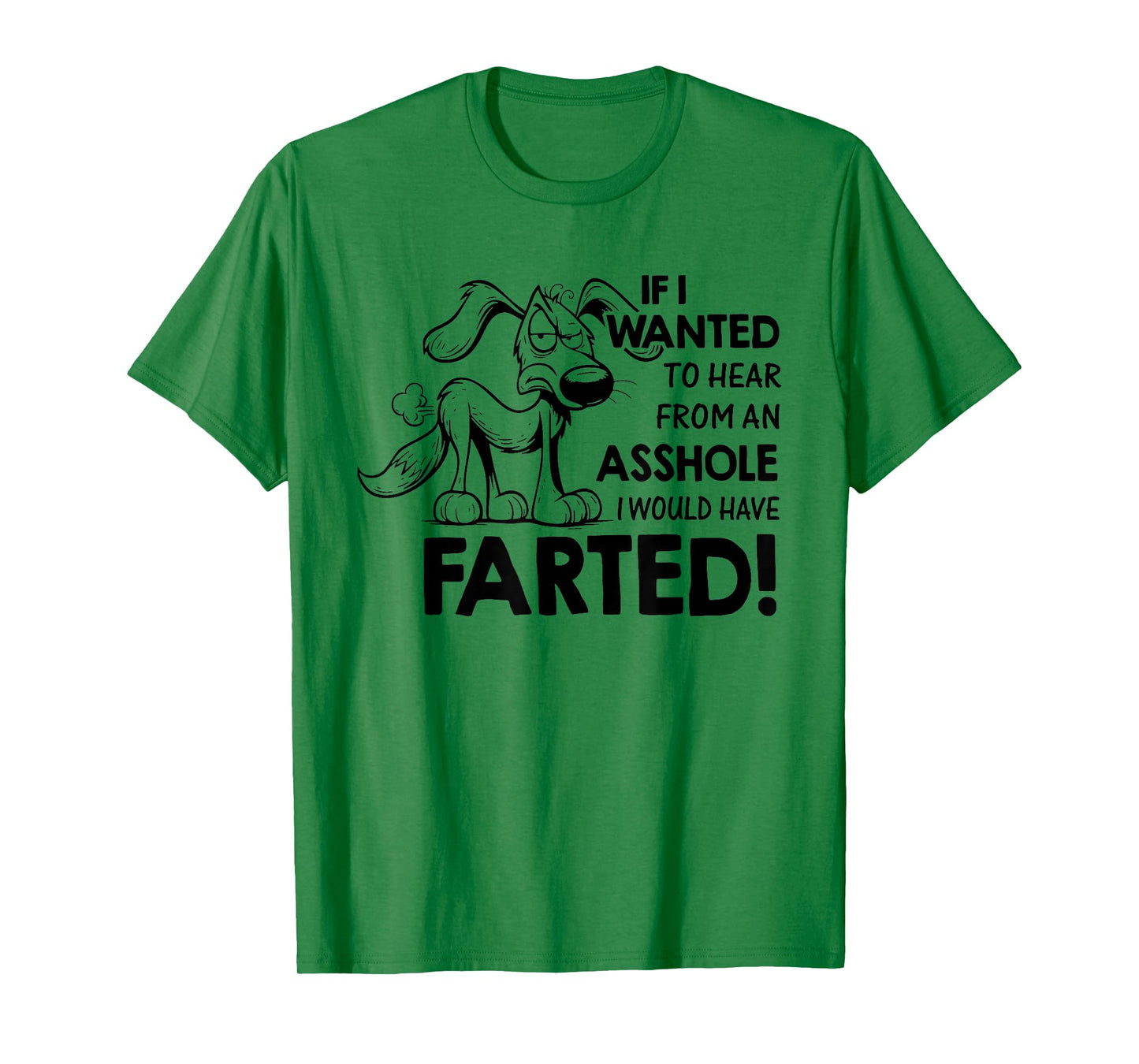 If I Wanted to Hear from an Asshole I Would Have Farted T-Shirt