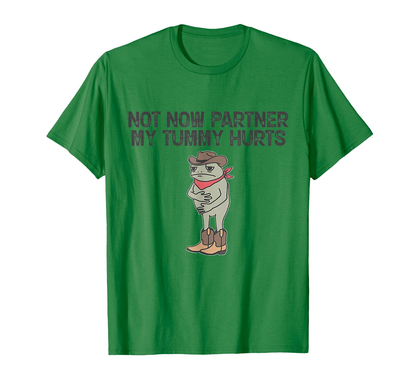 Not Now Partner My Tummy Hurts Funny Quote T-Shirt