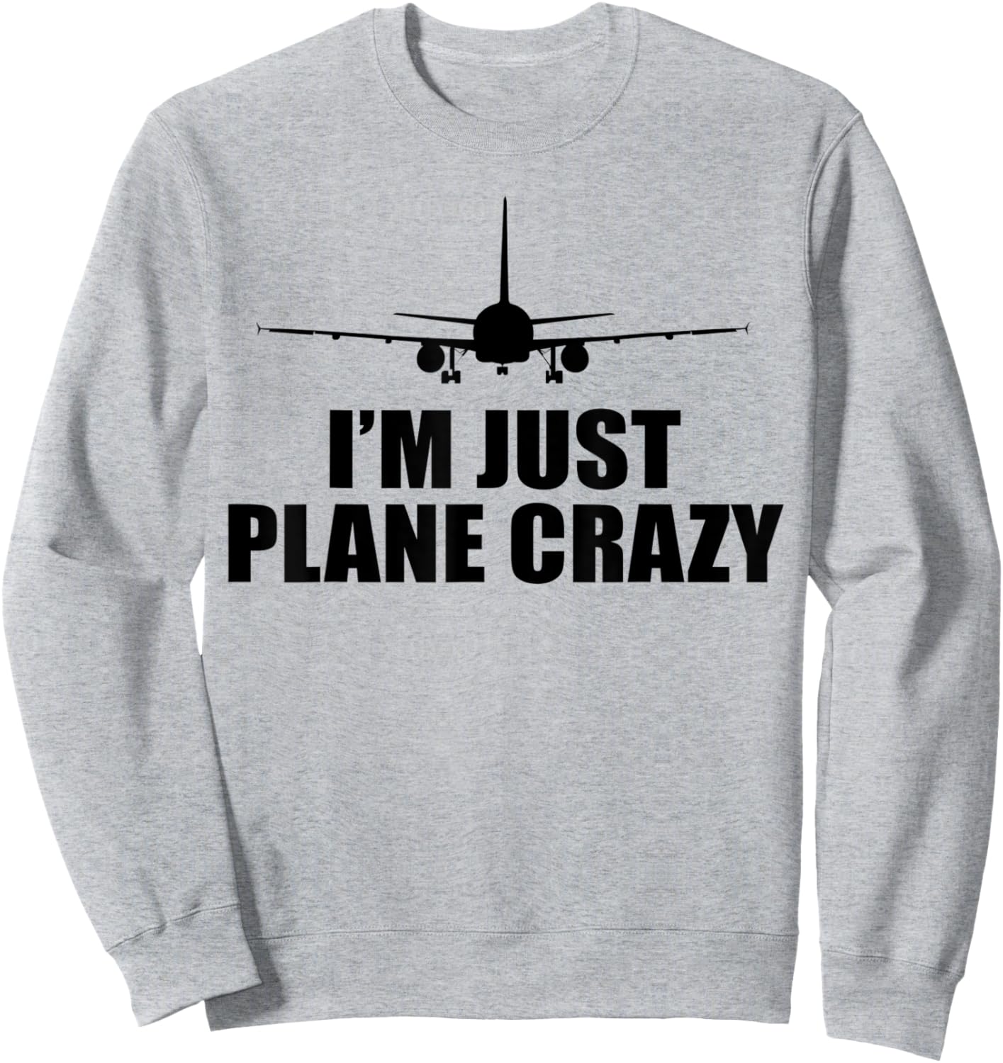 I'M JUST PLANE CRAZY Funny Airplane Pilot Meme Sweatshirt - Sweatshirt | Ash