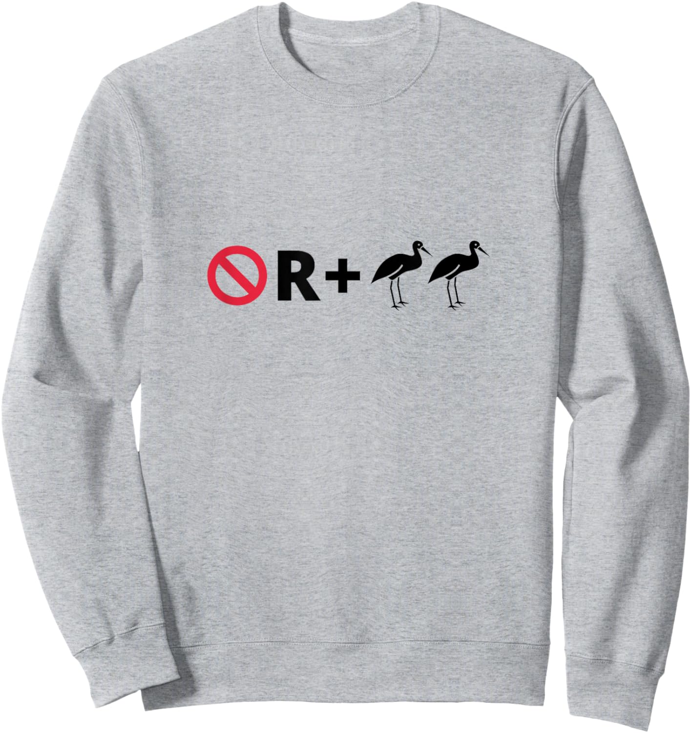 No R + Egrets Funny Pictogram Puzzle Pictograph Humor Sweatshirt - Sweatshirt | Ash