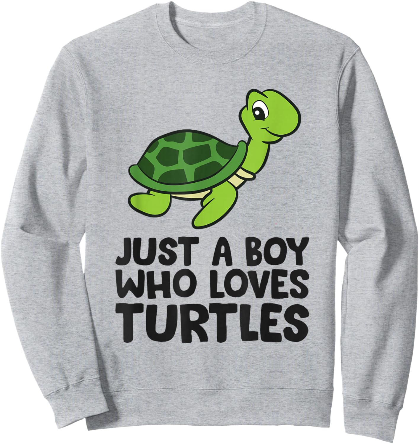 Sea Turtle Boy Just a Boy Who Loves Turtles Sweatshirt - Sweatshirt | Ash