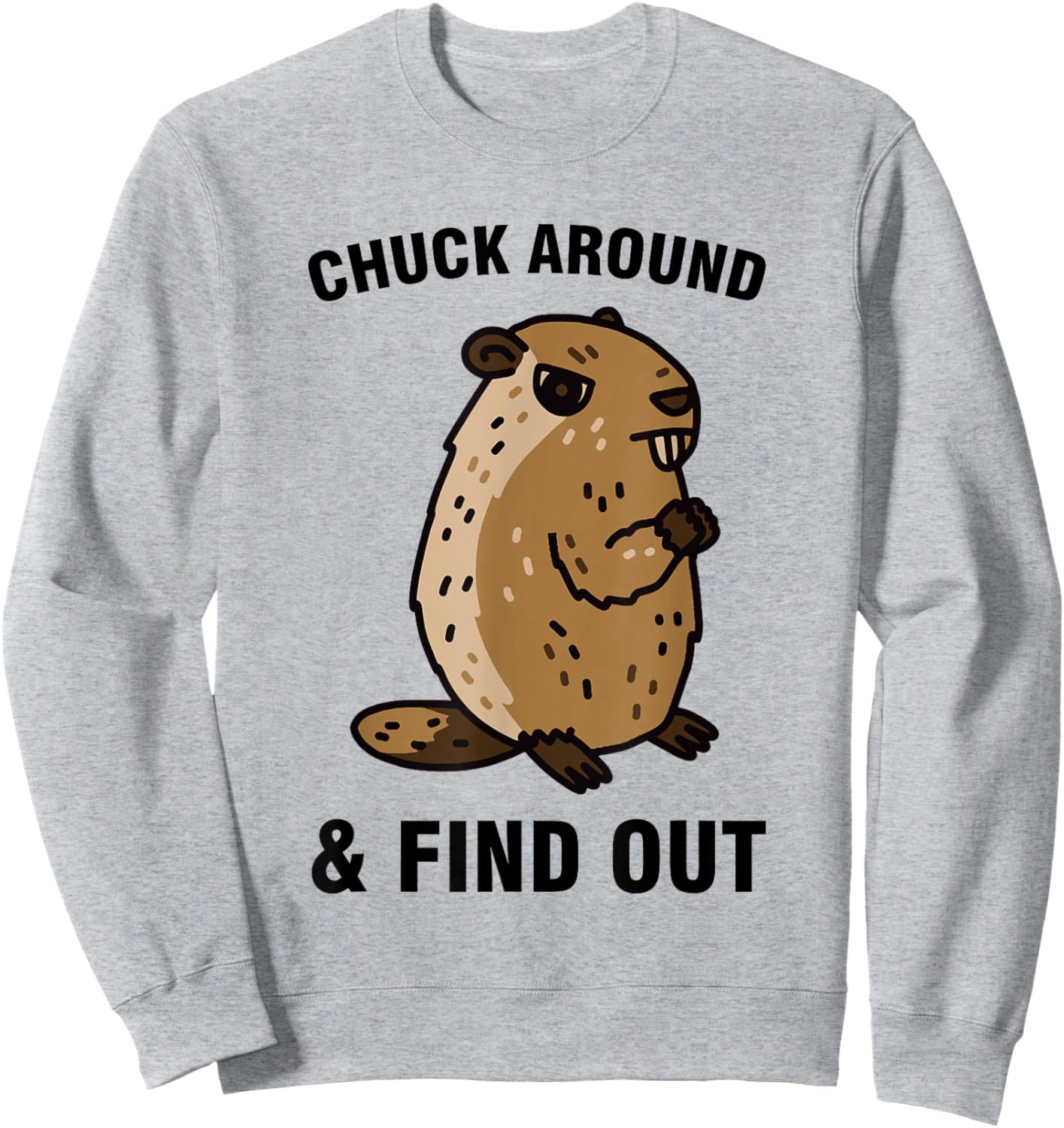Chuck around and find out Sweatshirt - Sweatshirt | Ash