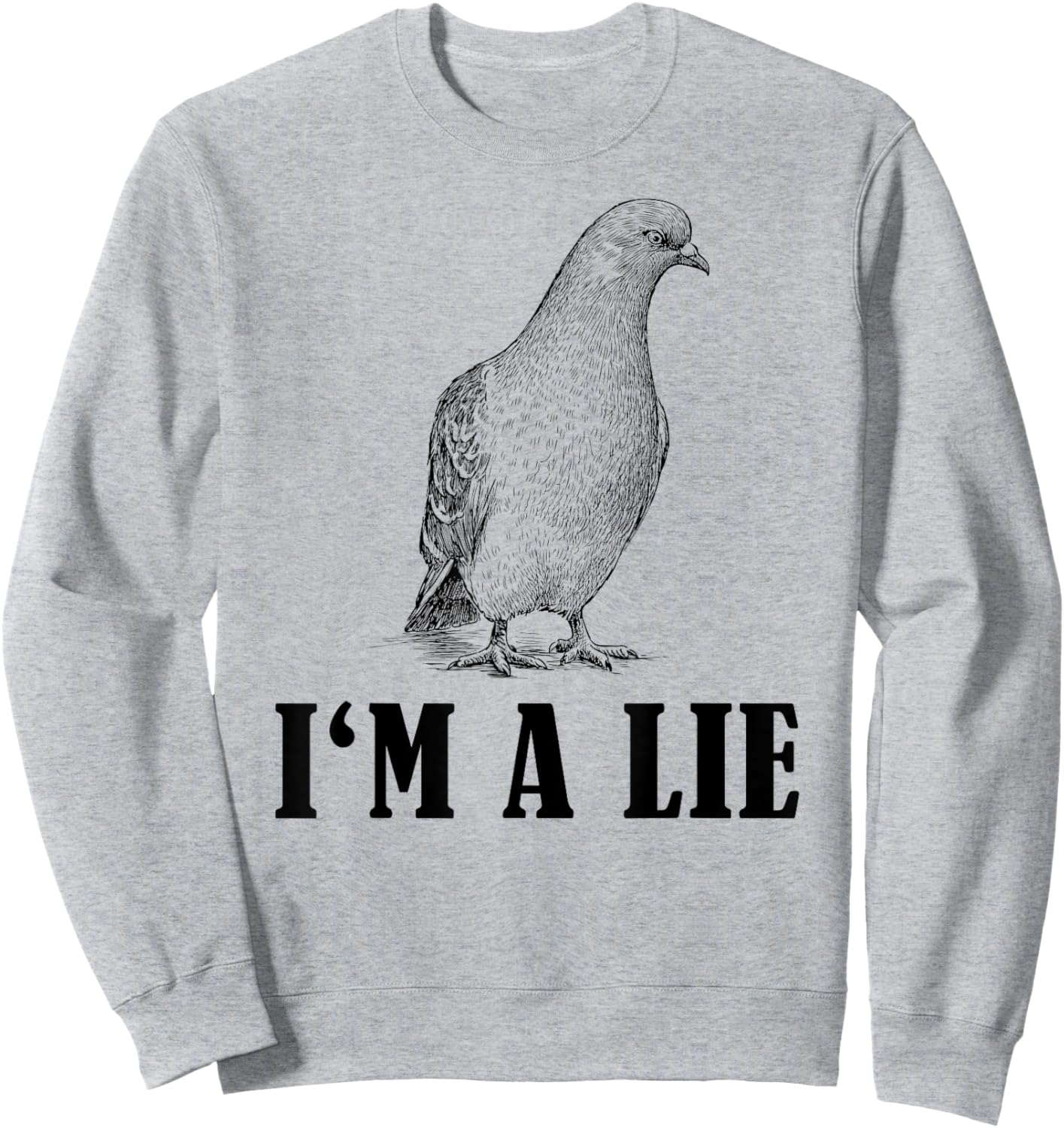 Birds Spie Conspiracy Joke Meme Surveillance | & Sweatshirt - Sweatshirt | Ash