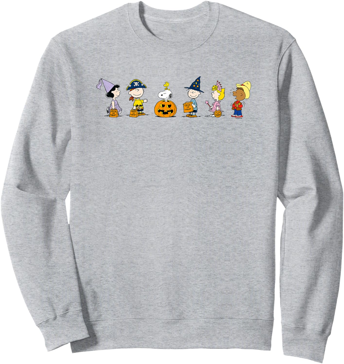 Peanuts Halloween Line Sweatshirt - Sweatshirt | Ash