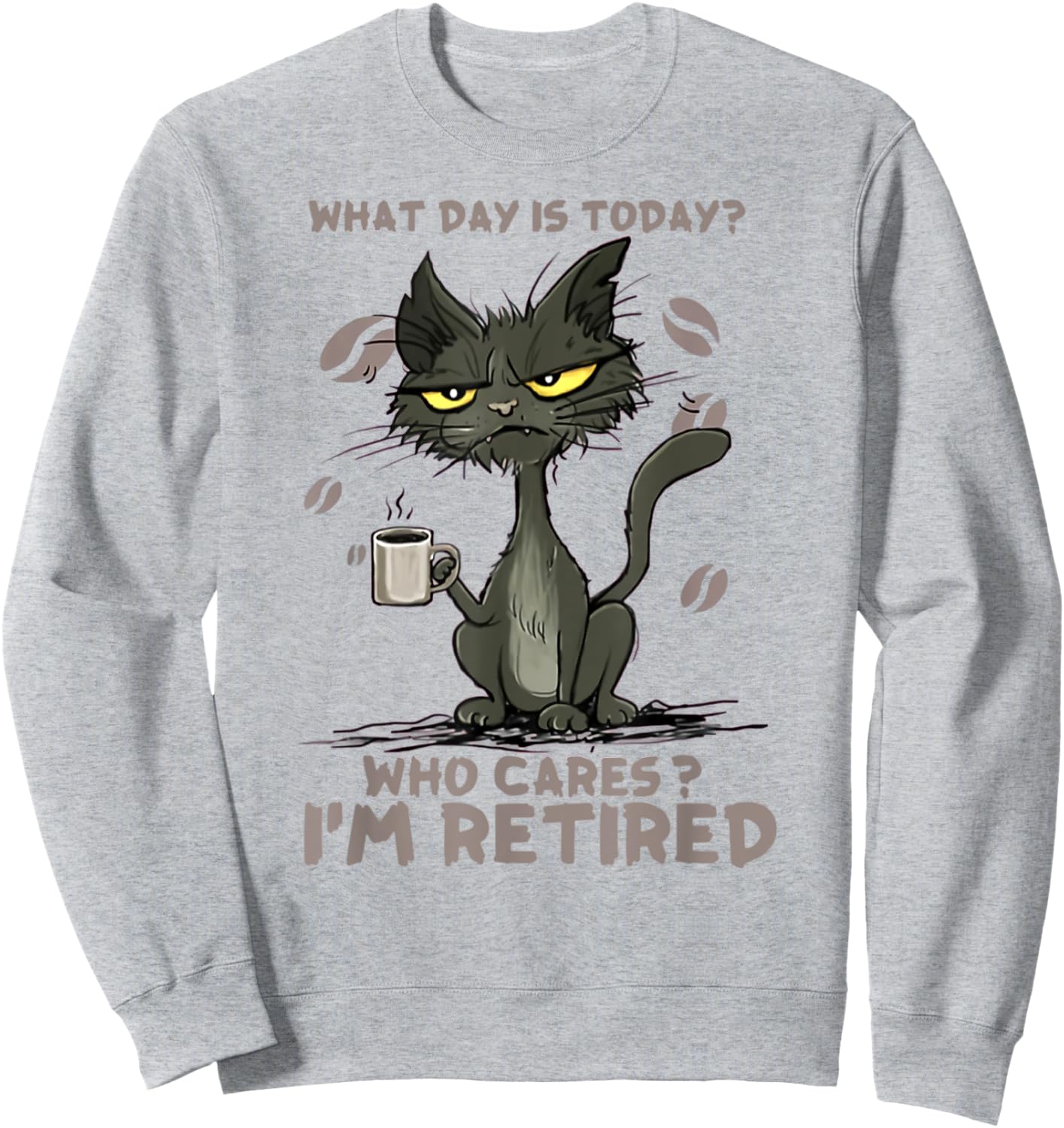 Cat What Day Is Today Who Cares I‘m Retired Men Women Sweatshirt - Sweatshirt | Ash