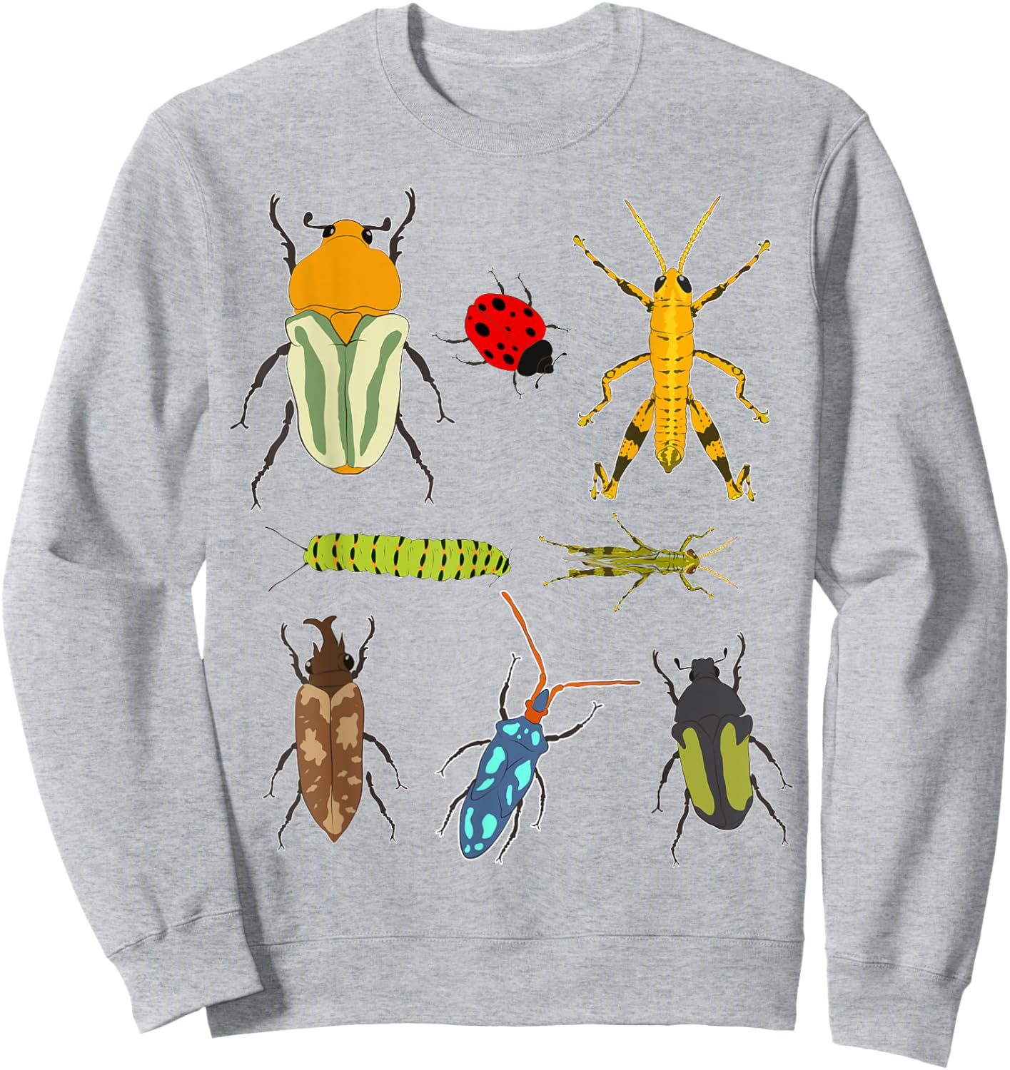 Biologist Entomologist Animal Lover Insect Beetle Bug Sweatshirt - Sweatshirt | Ash
