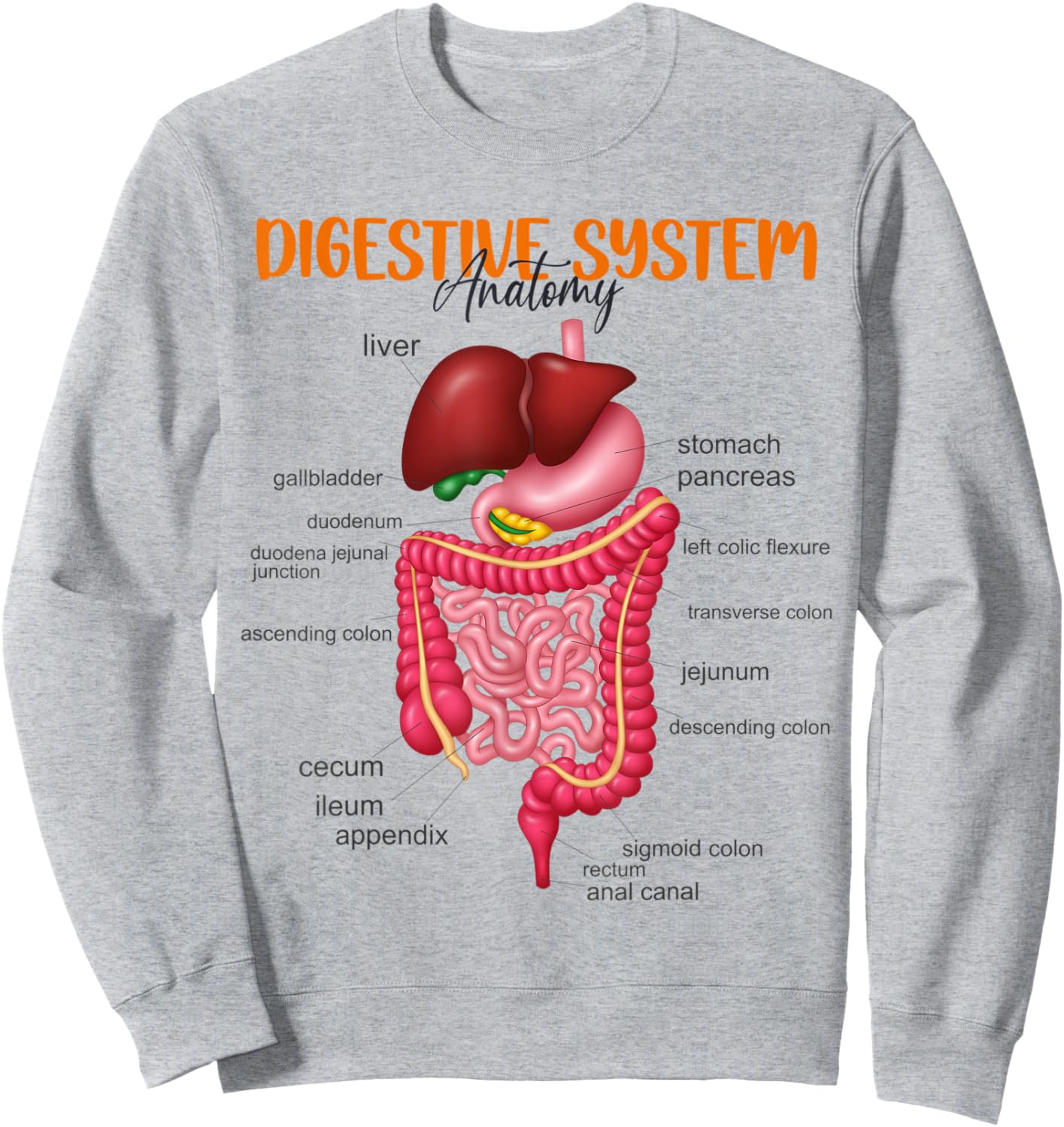 Funny Digestive System Anatomy Anatomical Biology Teacher Women Sweatshirt - Sweatshirt | Ash