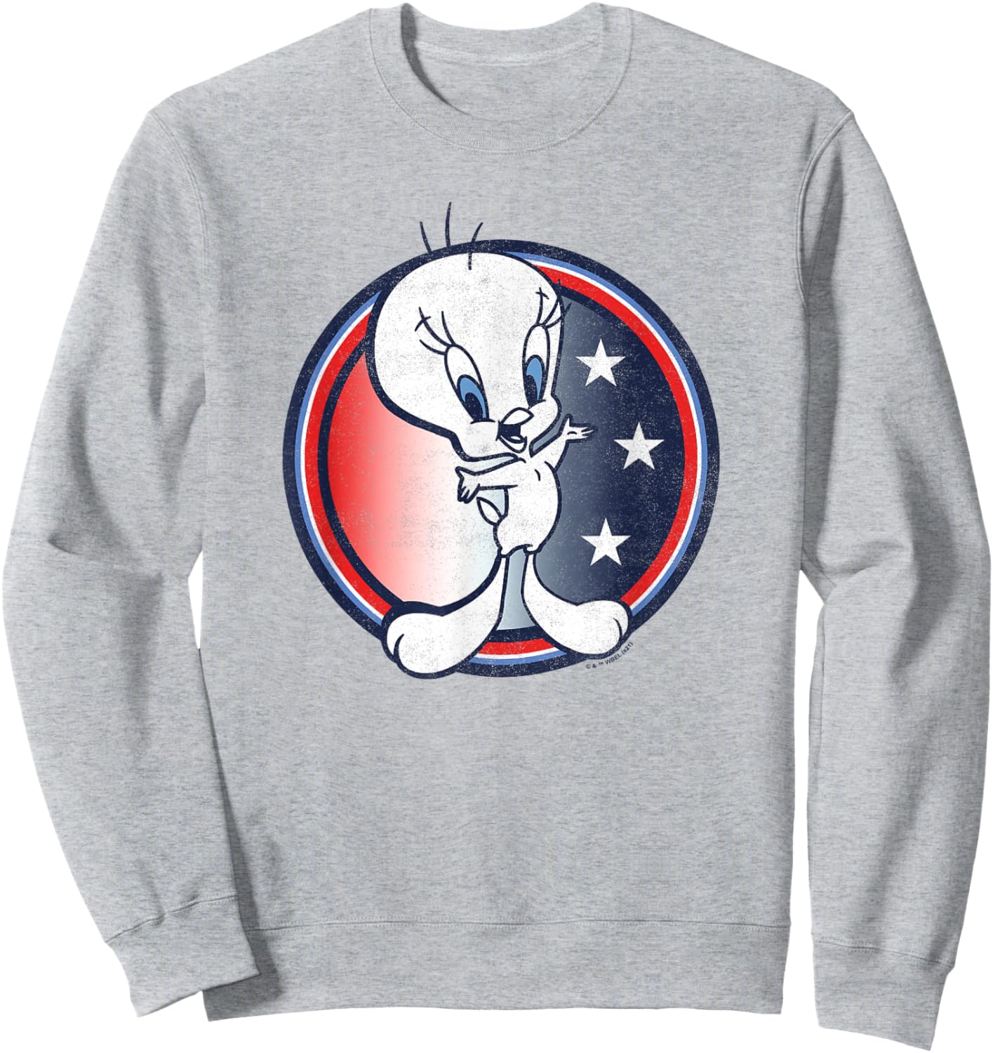 Looney Tunes Tweety Bird Fourth Of July Americana Circle Sweatshirt - Sweatshirt | Ash