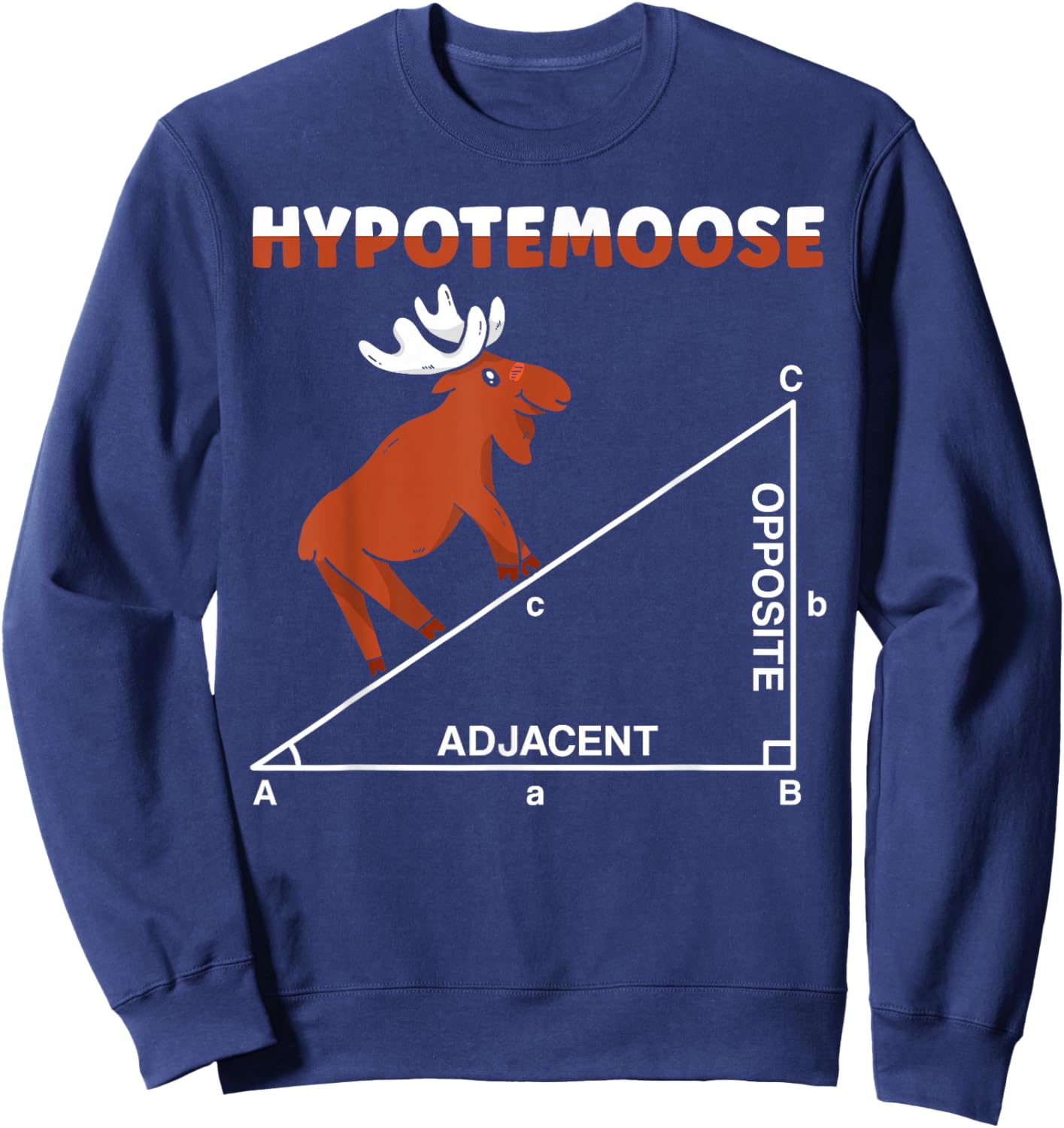 Hypotemoose Mathematics Teacher Mathematician Math Geek Sweatshirt - Sweatshirt | Navy