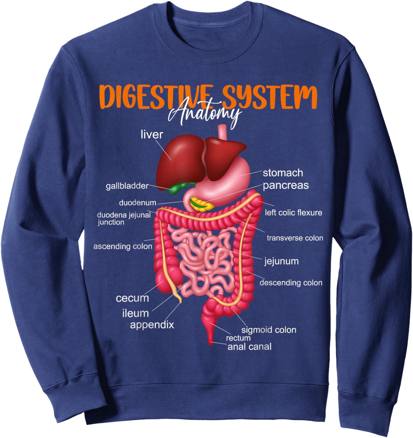 Funny Digestive System Anatomy Anatomical Biology Teacher Sweatshirt - Sweatshirt | Navy