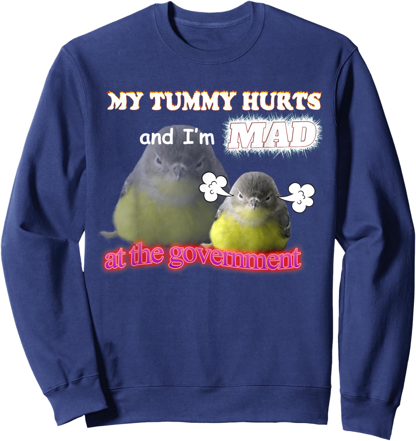 My Tummy Hurts And I'm Mad At The Government Birb Meme Sweatshirt - Sweatshirt | Navy