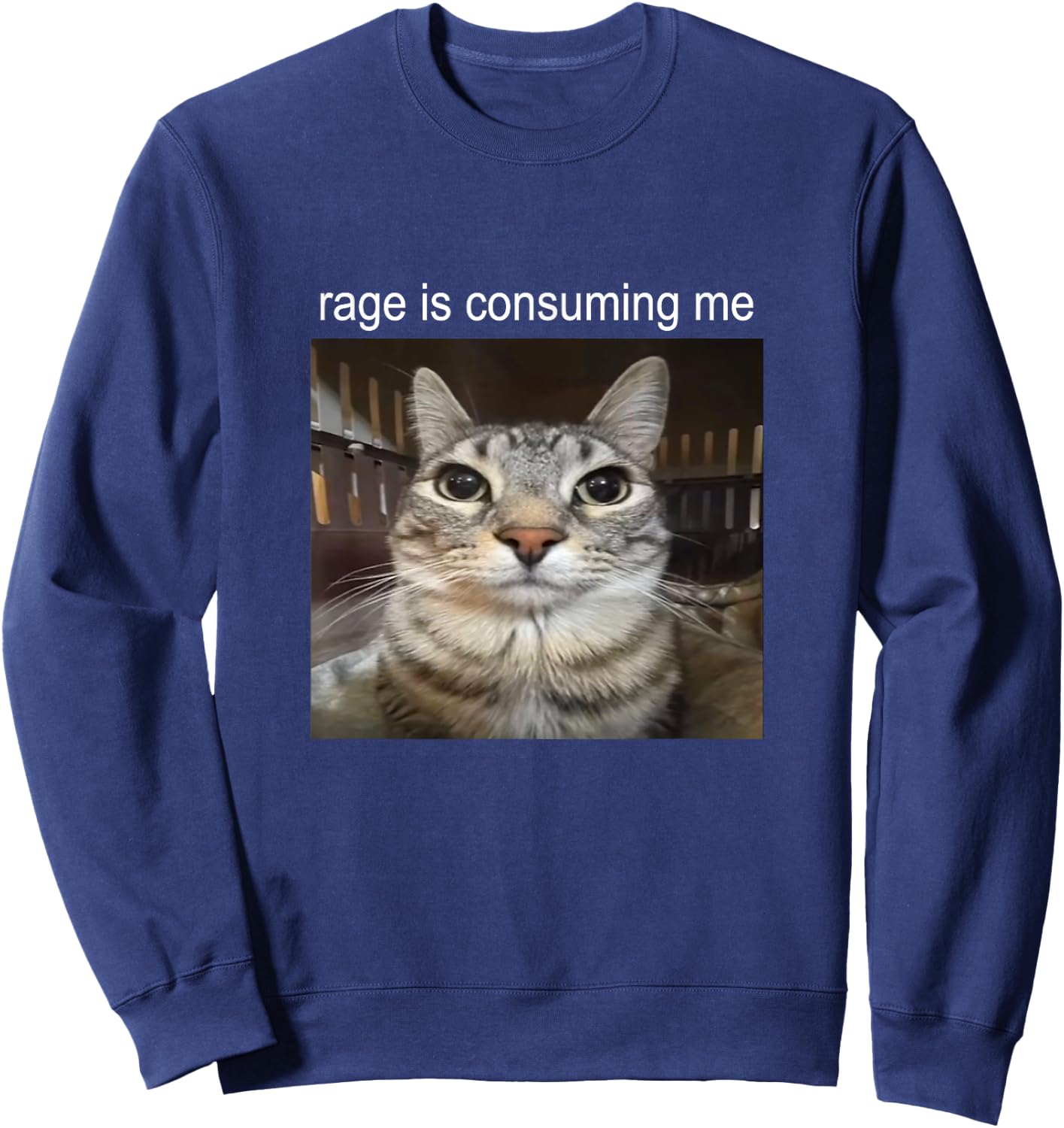 Rage is Consuming Me Silly Staring Cat Meme Sweatshirt - Sweatshirt | Navy