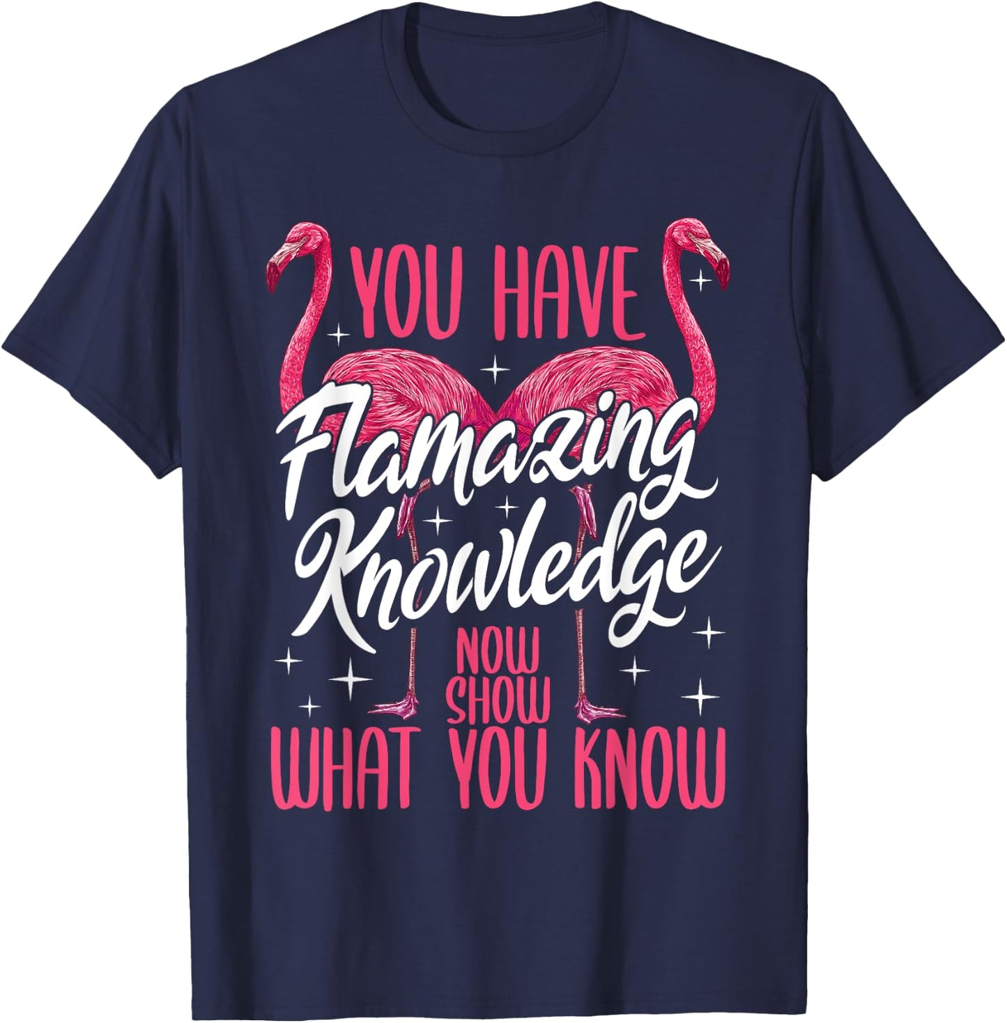 Test Day Teacher You Have Flamazing Knowledge Flamingo T-Shirt - T-Shirt | Navy