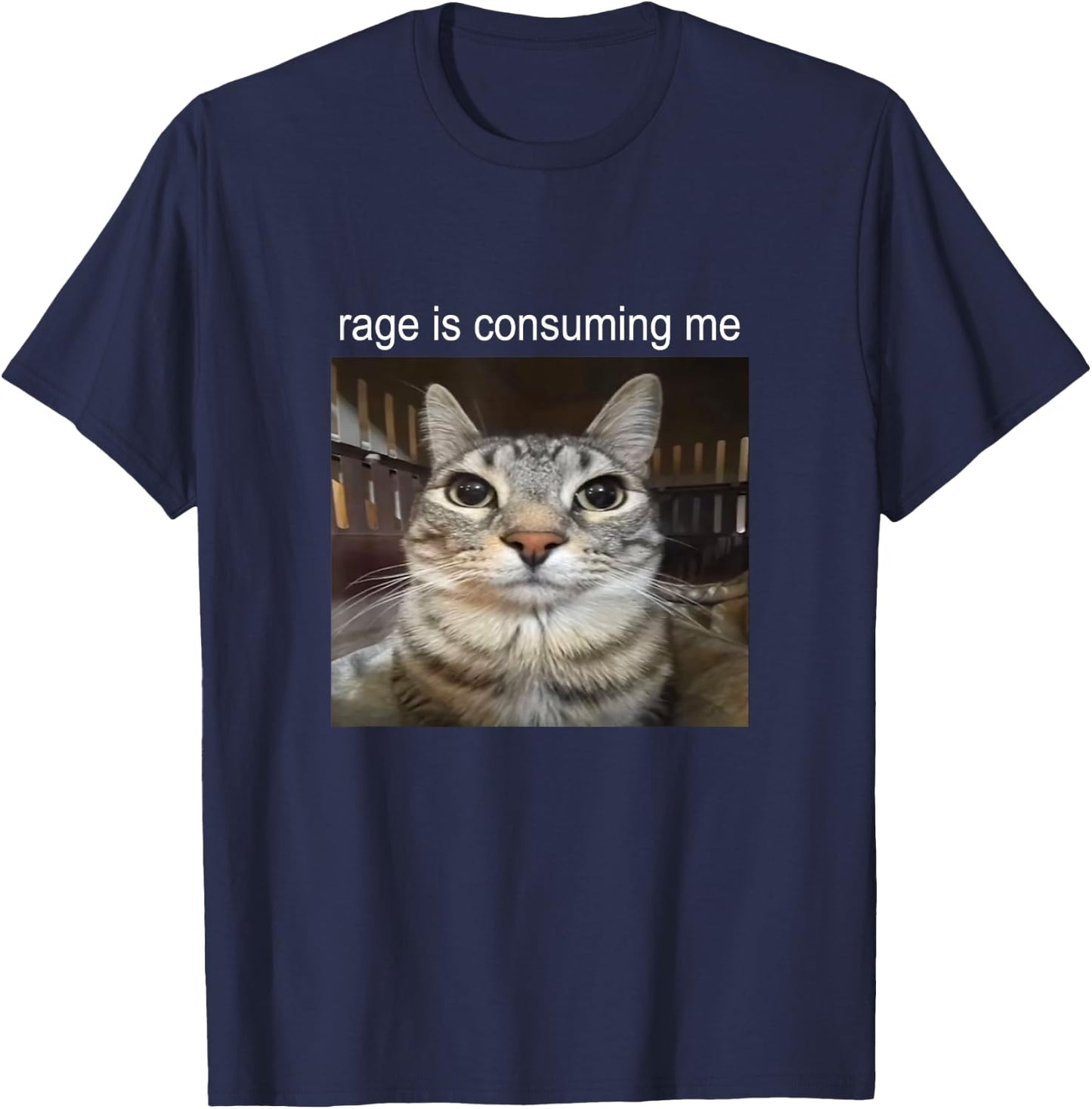 Rage is Consuming Me Silly Staring Cat Meme T-Shirt - T-Shirt | Navy