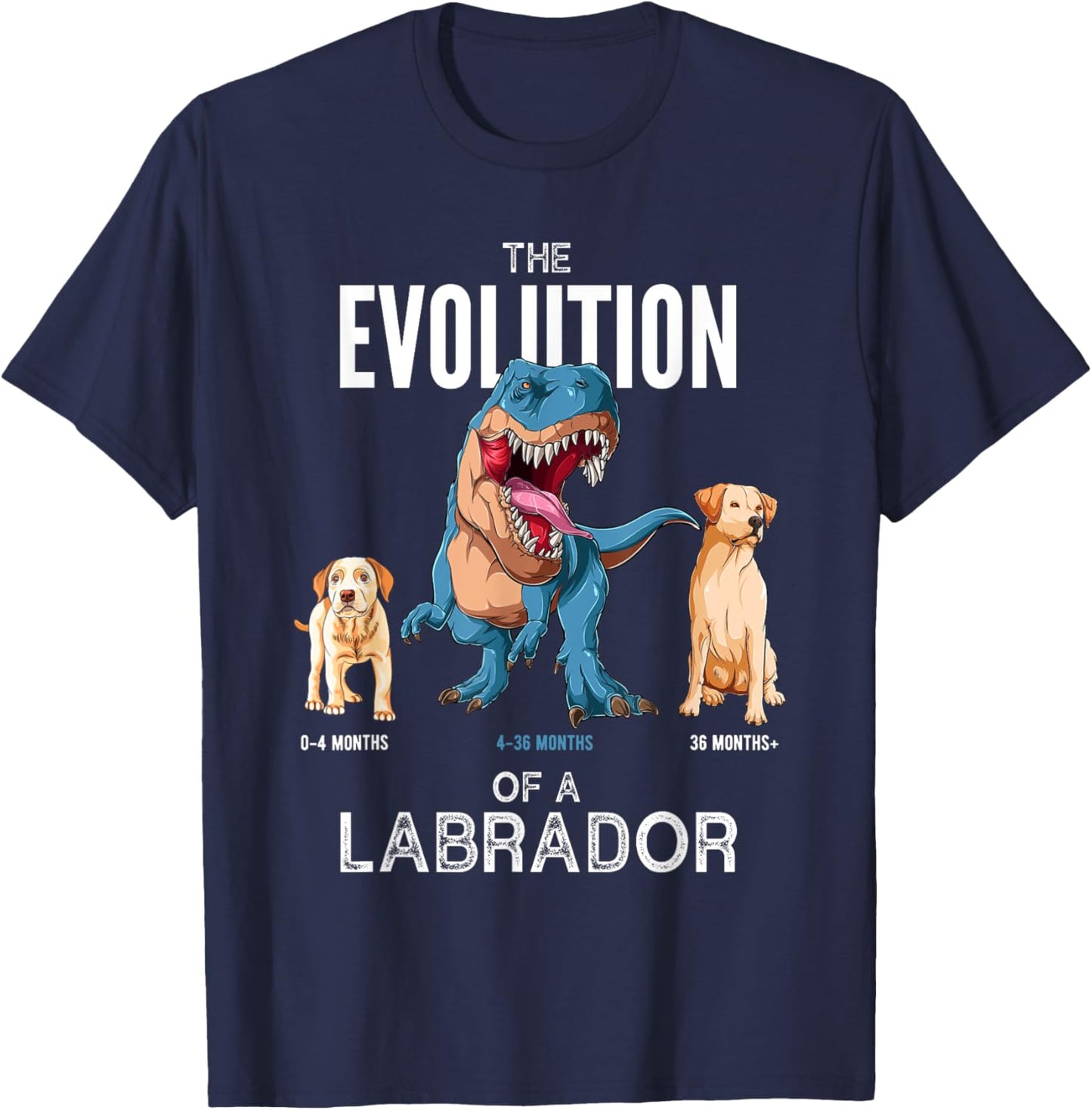 The Evolution of a Labrador or Evolution of dogs T-Shirt - T-Shirt | Navy