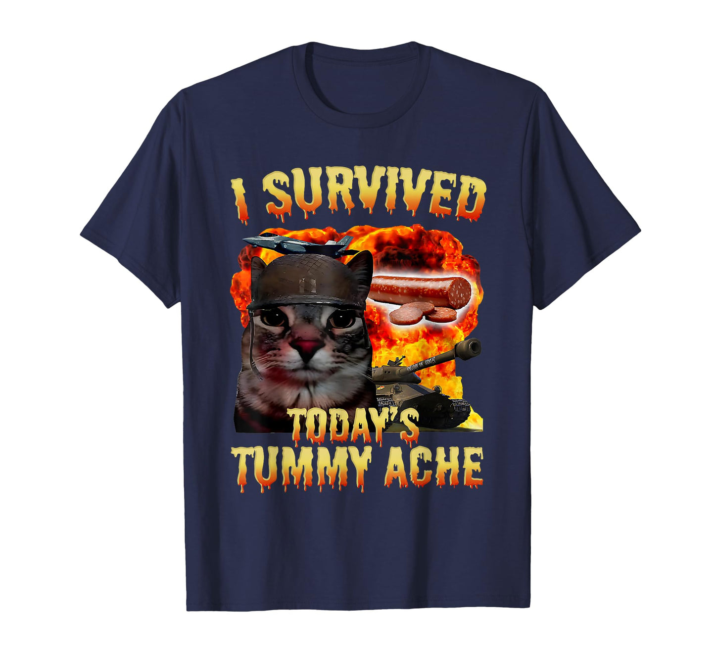 Tummy Ache Survivor Cat Meme Funny Saying Cats Animals Men Women Kids T-Shirt