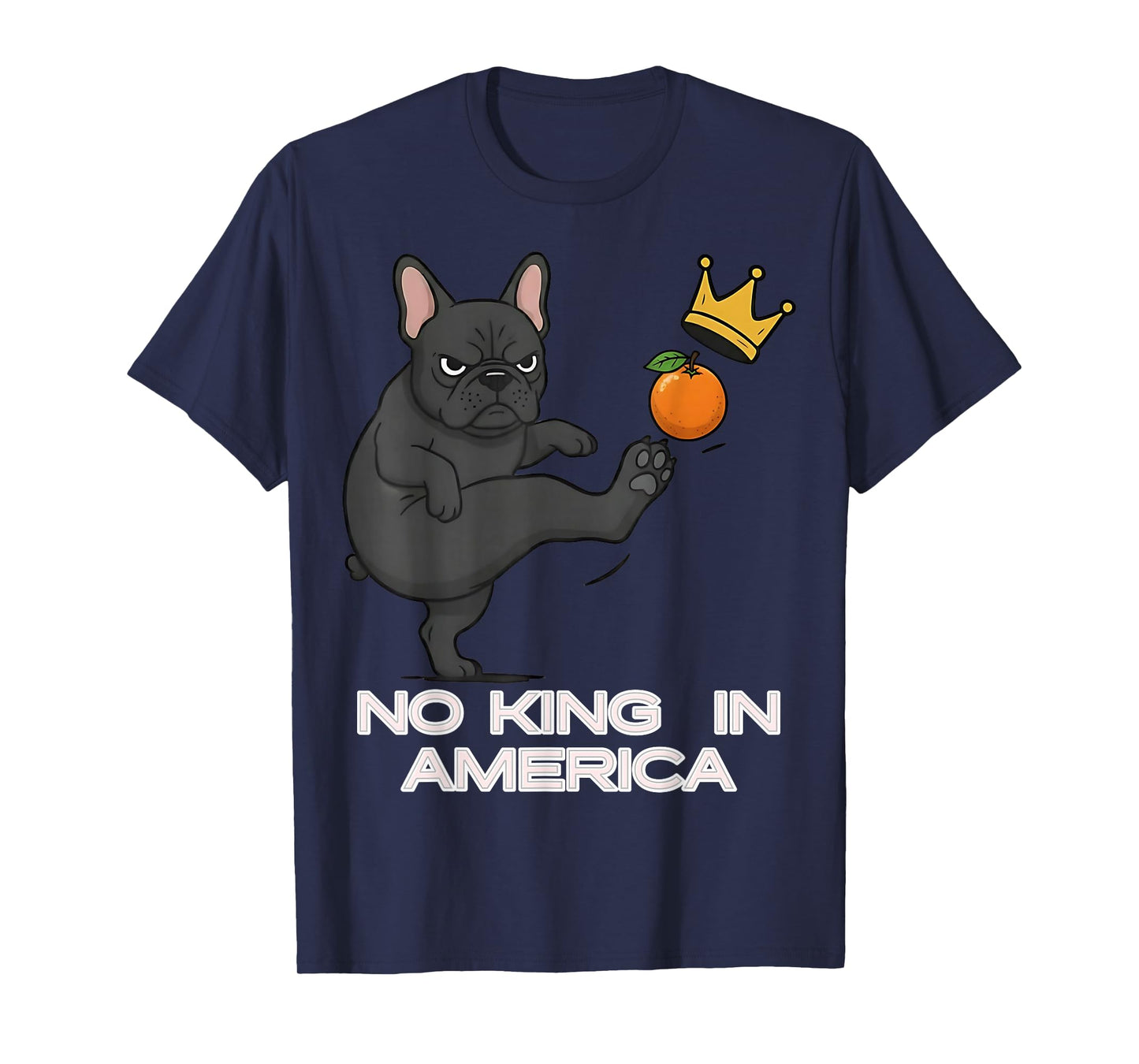 No Kings Protest Sign, We The People, in America No Kings T-Shirt