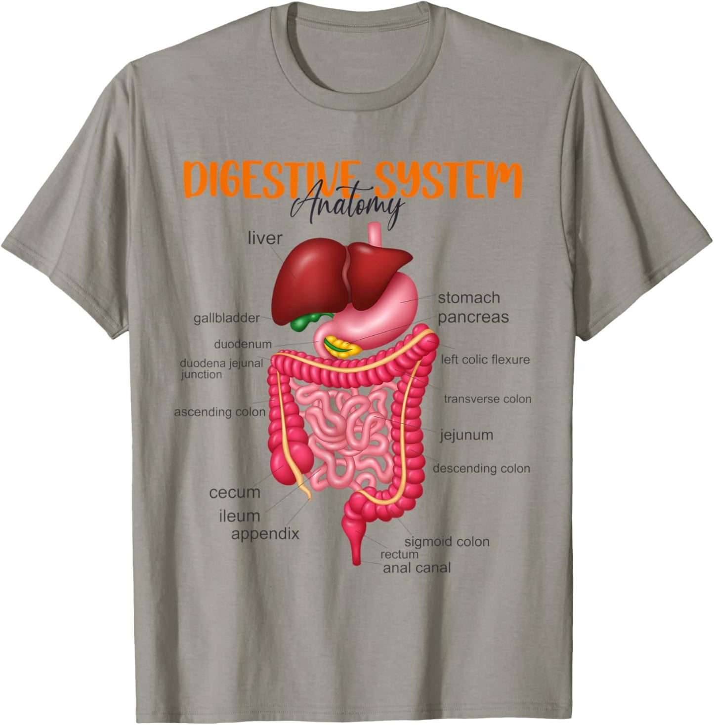 Funny Digestive System Anatomy Anatomical Biology Teacher Women T-Shirt - T-Shirt | Sand