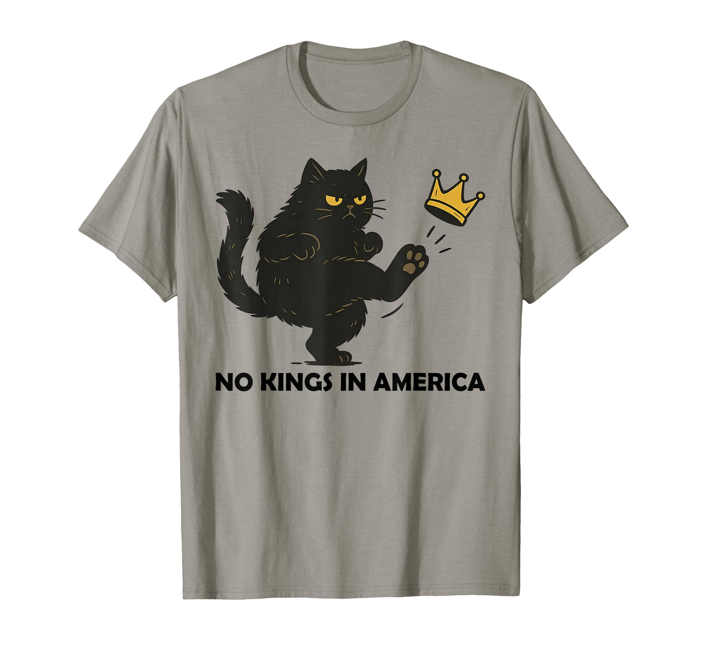 No Kings In America We The People Political Men Women T-Shirt