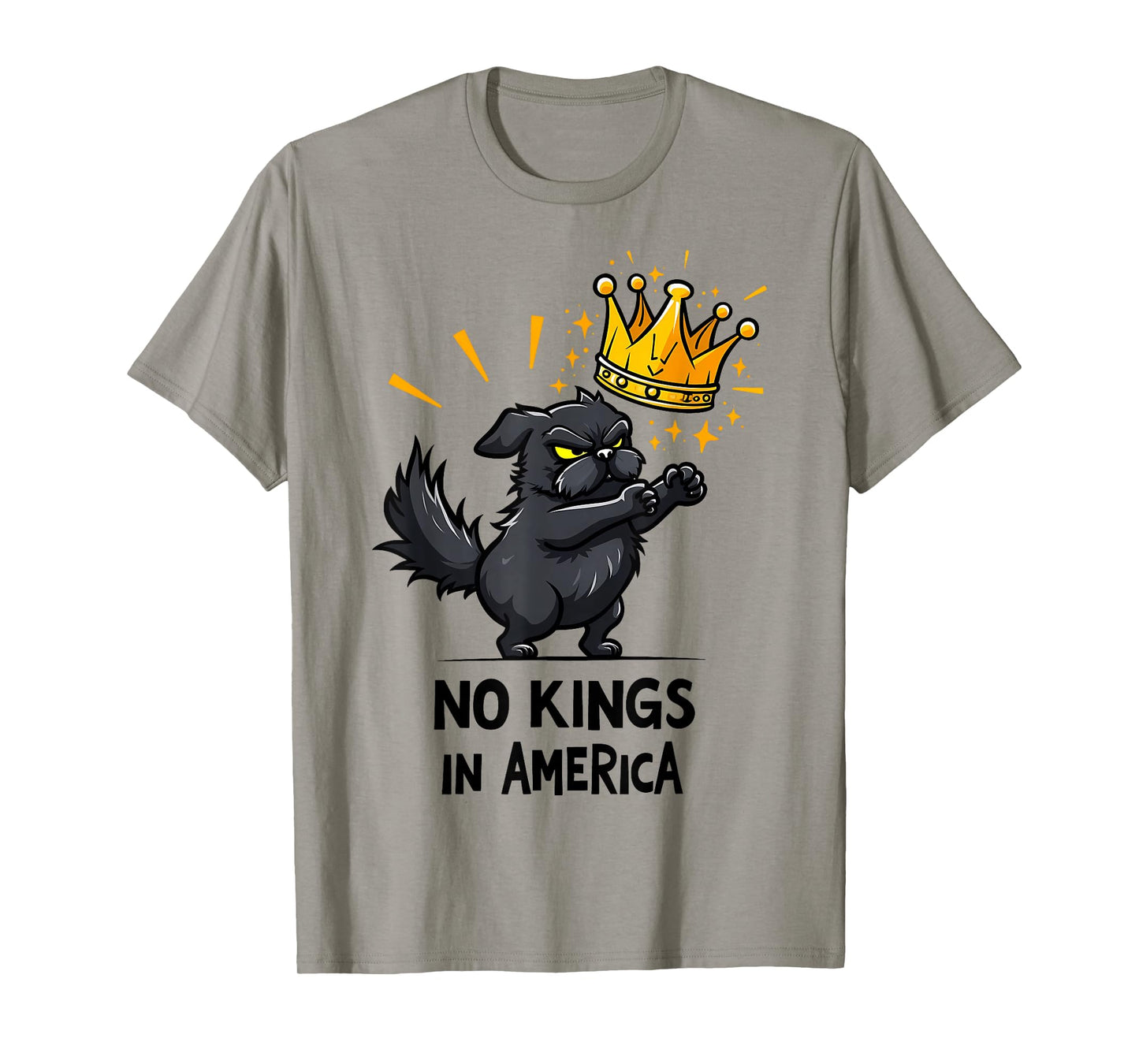 No Kings in America T-Shirt