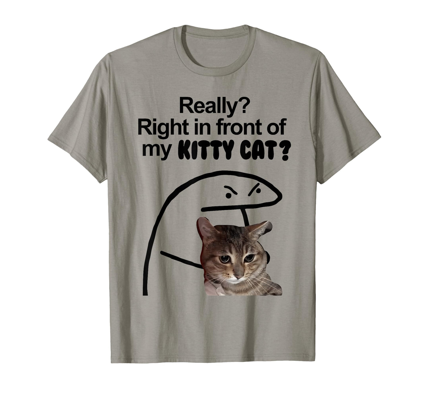 Really? Right in front of my KITTY CAT Meme T-Shirt