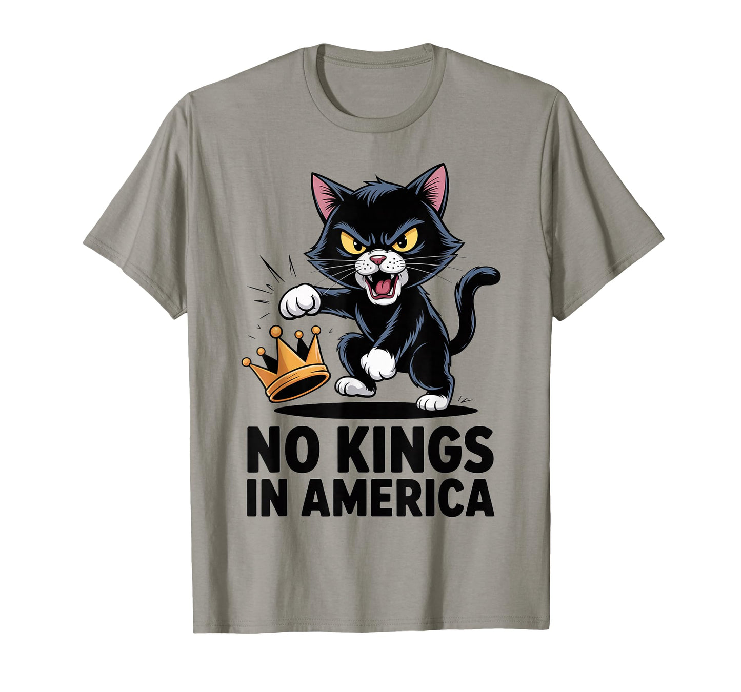 No Kings in America We The People Political Men Women Design T-Shirt