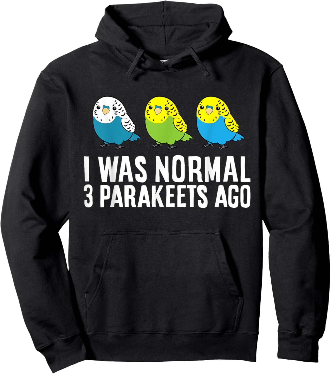 Parakeet Bird Owner I Was Normal 3 Parakeets Ago Hoodie - Hoodie | Black