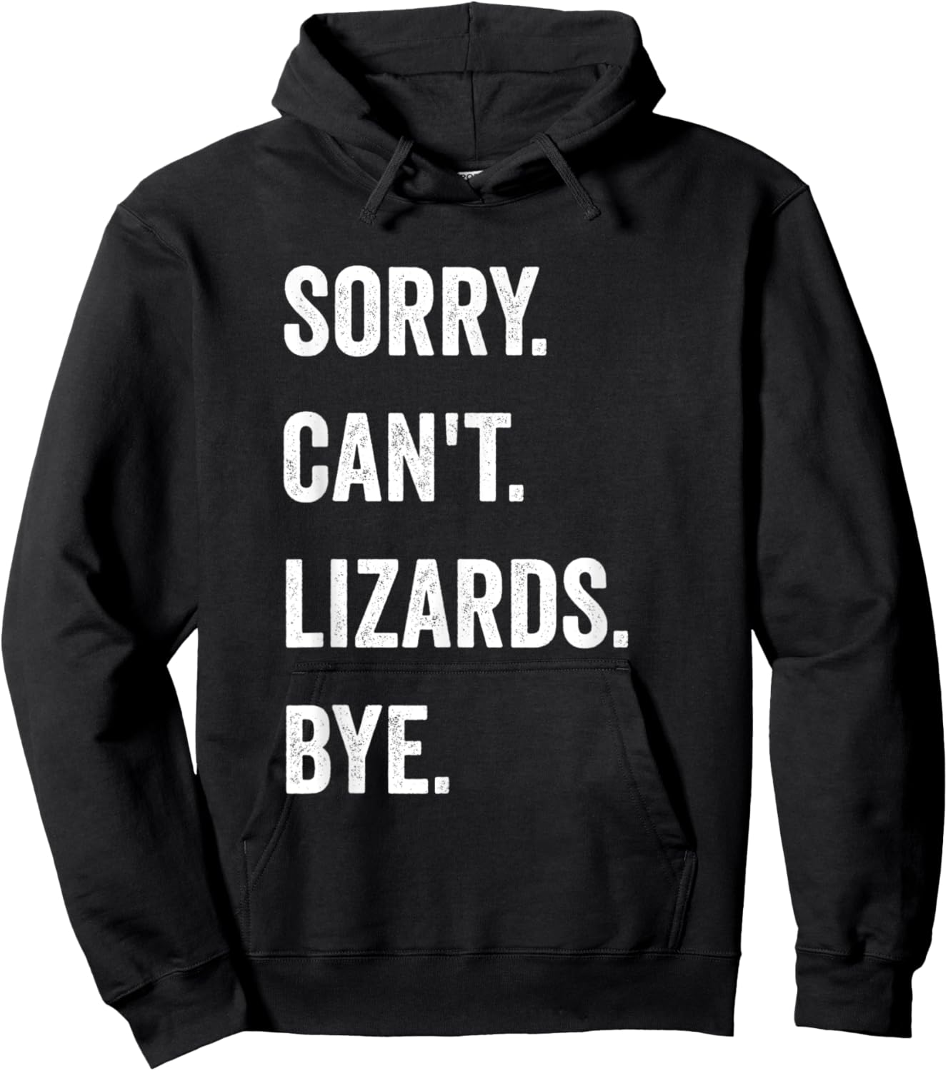 Funny Lizard Sorry Can't Lizards Bye Reptile Pet Lover Hoodie - Hoodie | Black