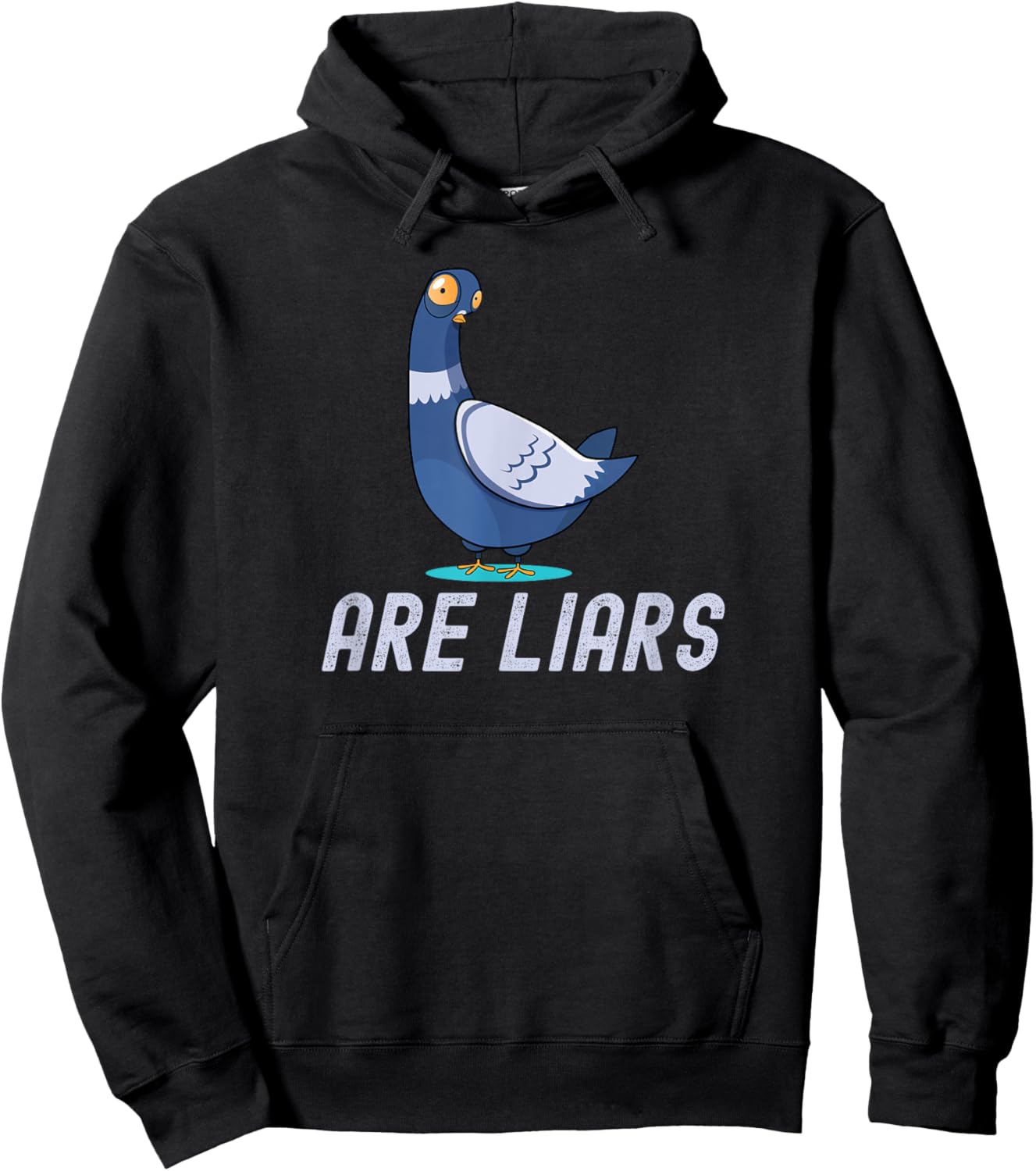 Birds Spies Pigeons Aren`t Real Pigeons Are Liars Hoodie - Hoodie | Black