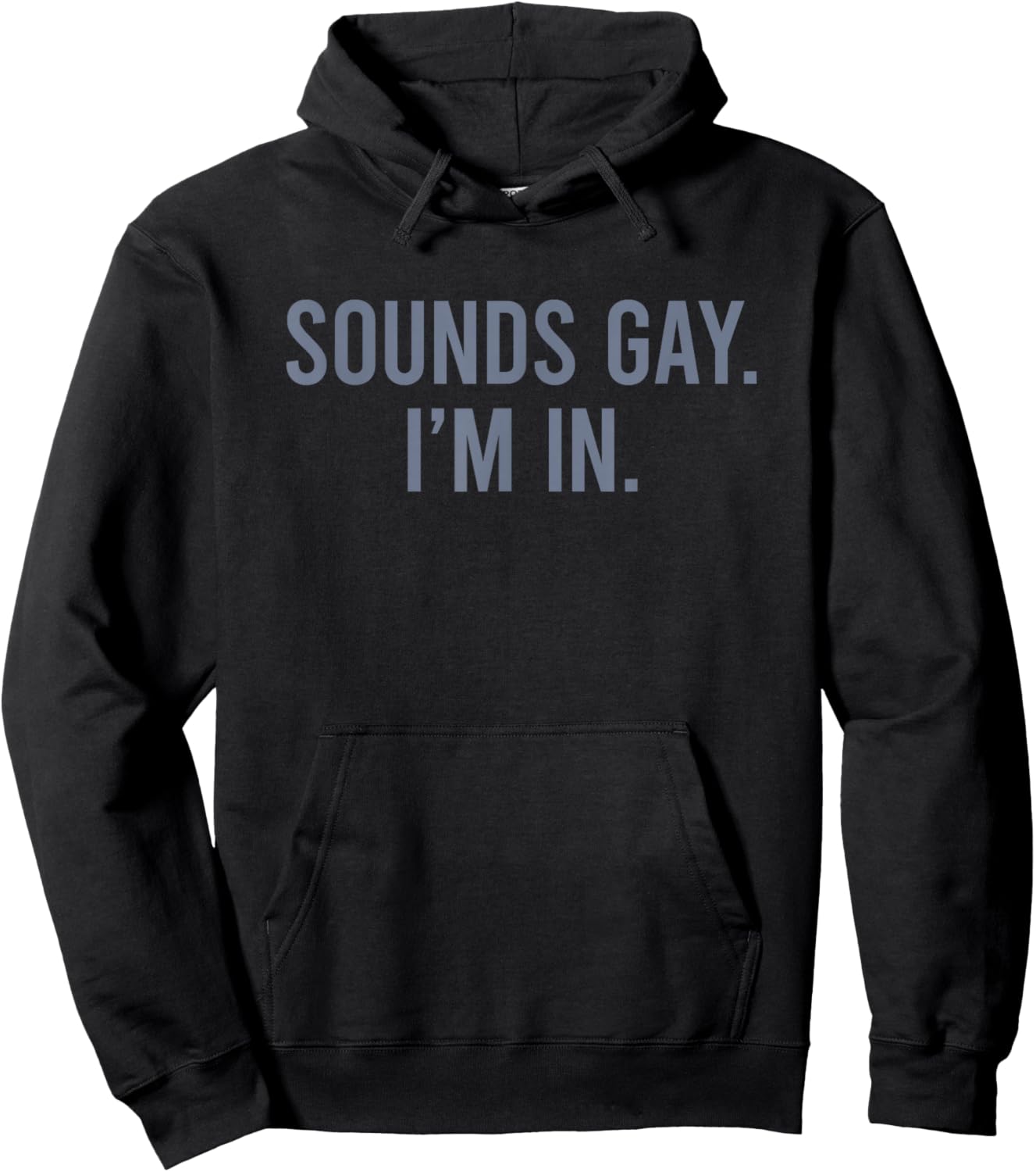 Sounds Gay I'm in Hoodie - Hoodie | Black