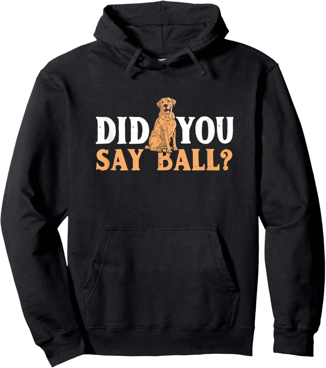 Did You Say Ball Funny Golden Retriever Labrador Hoodie - Hoodie | Black